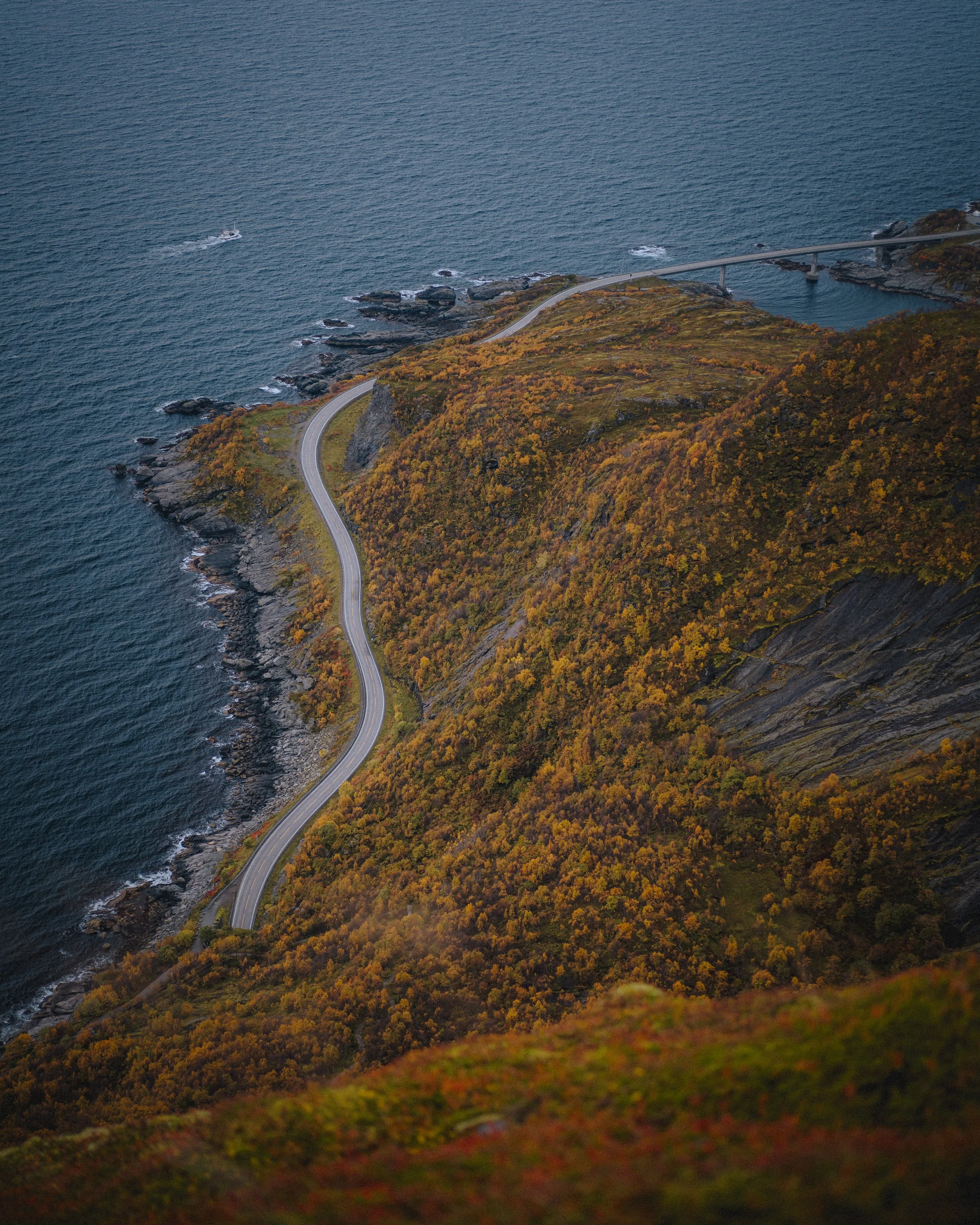 DFL_LofotenAutumn-9.jpg