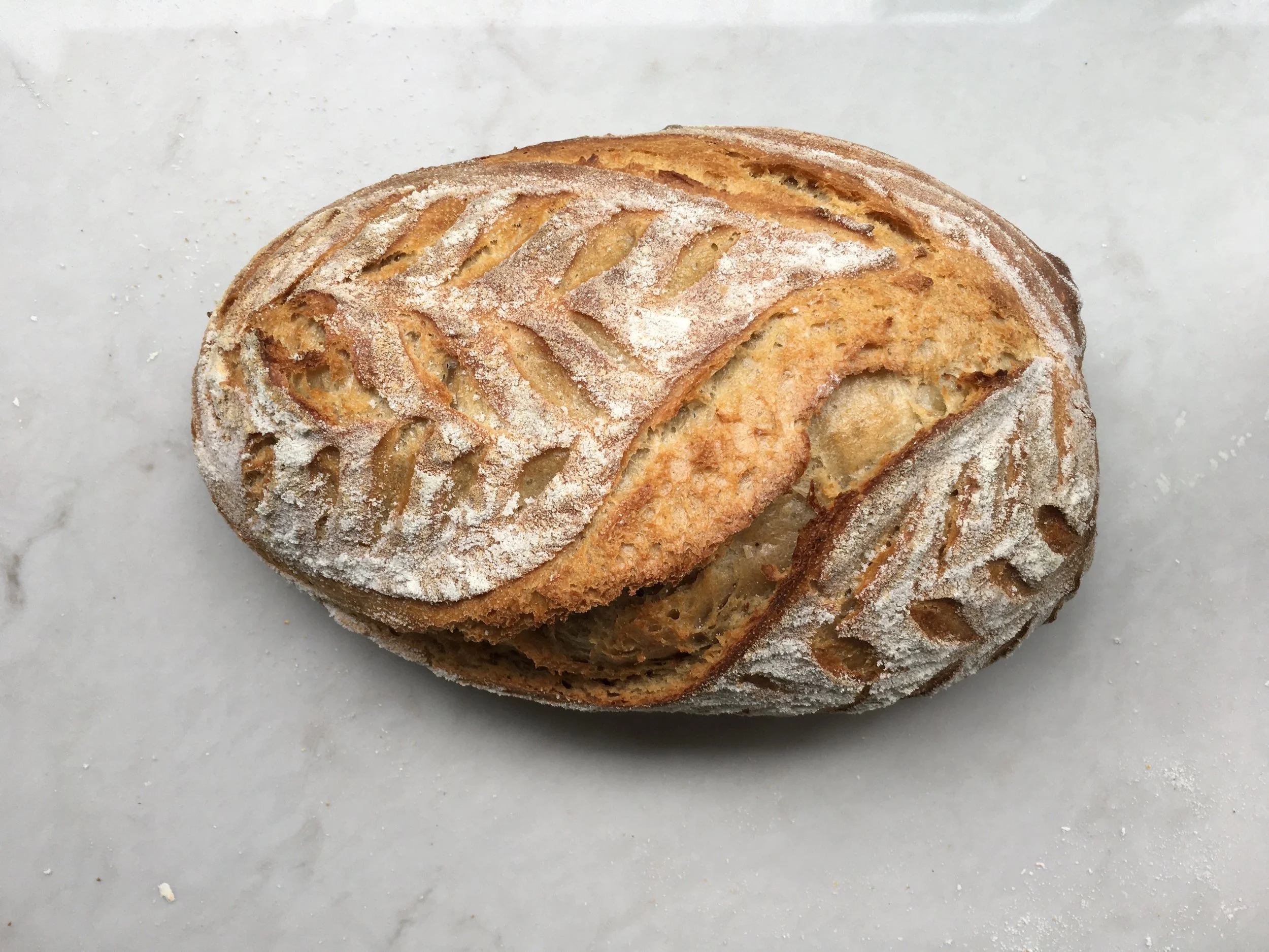 FullSizeRender (003).jpg