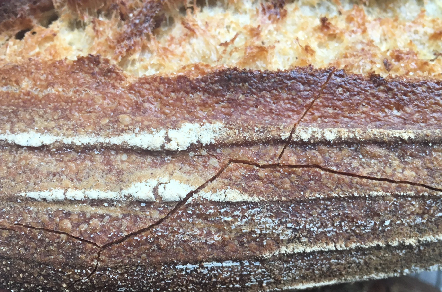 FullSizeRender crust.jpg