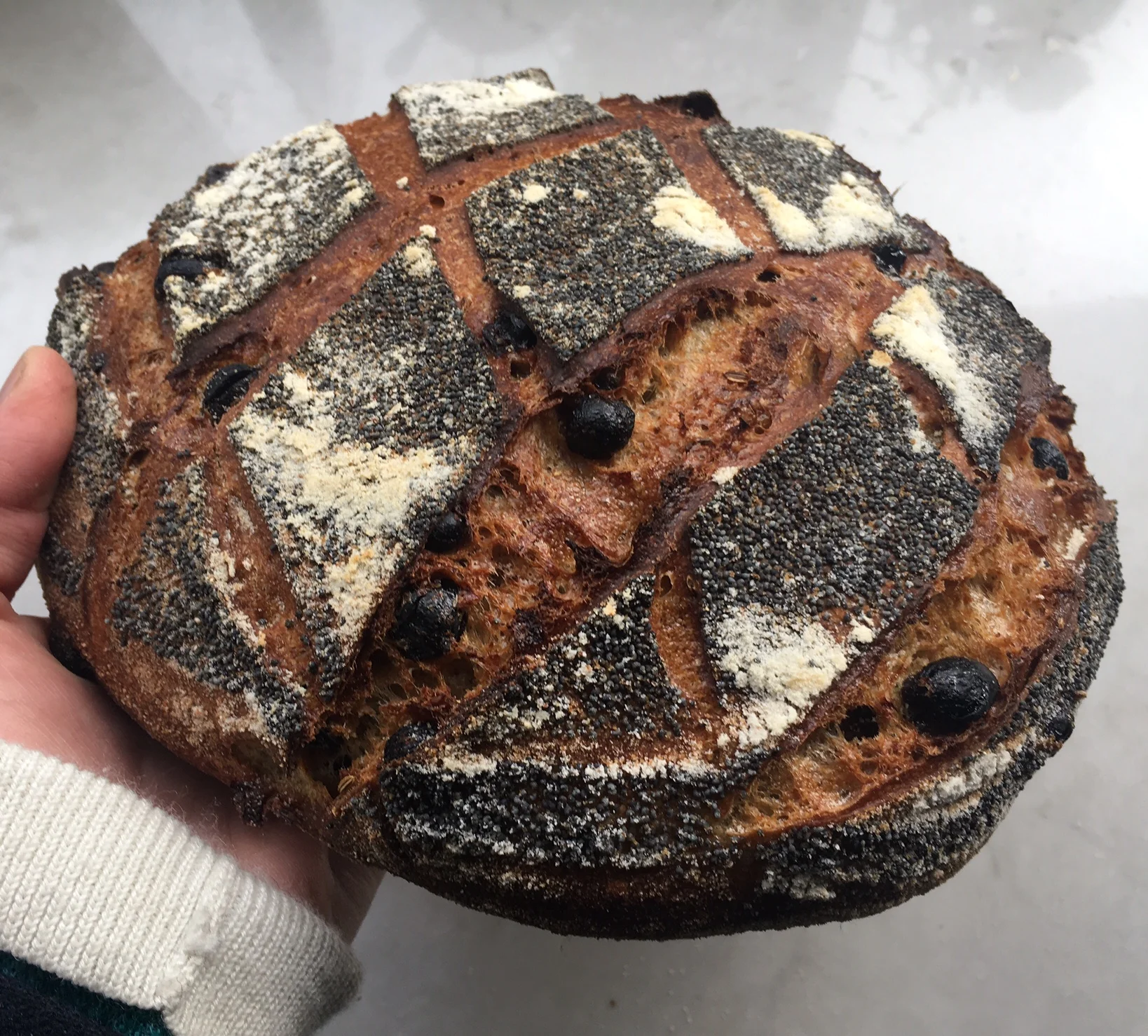 FullSizeRender (1) ft.jpg