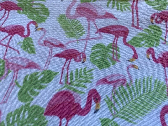 Flamingo.jpg
