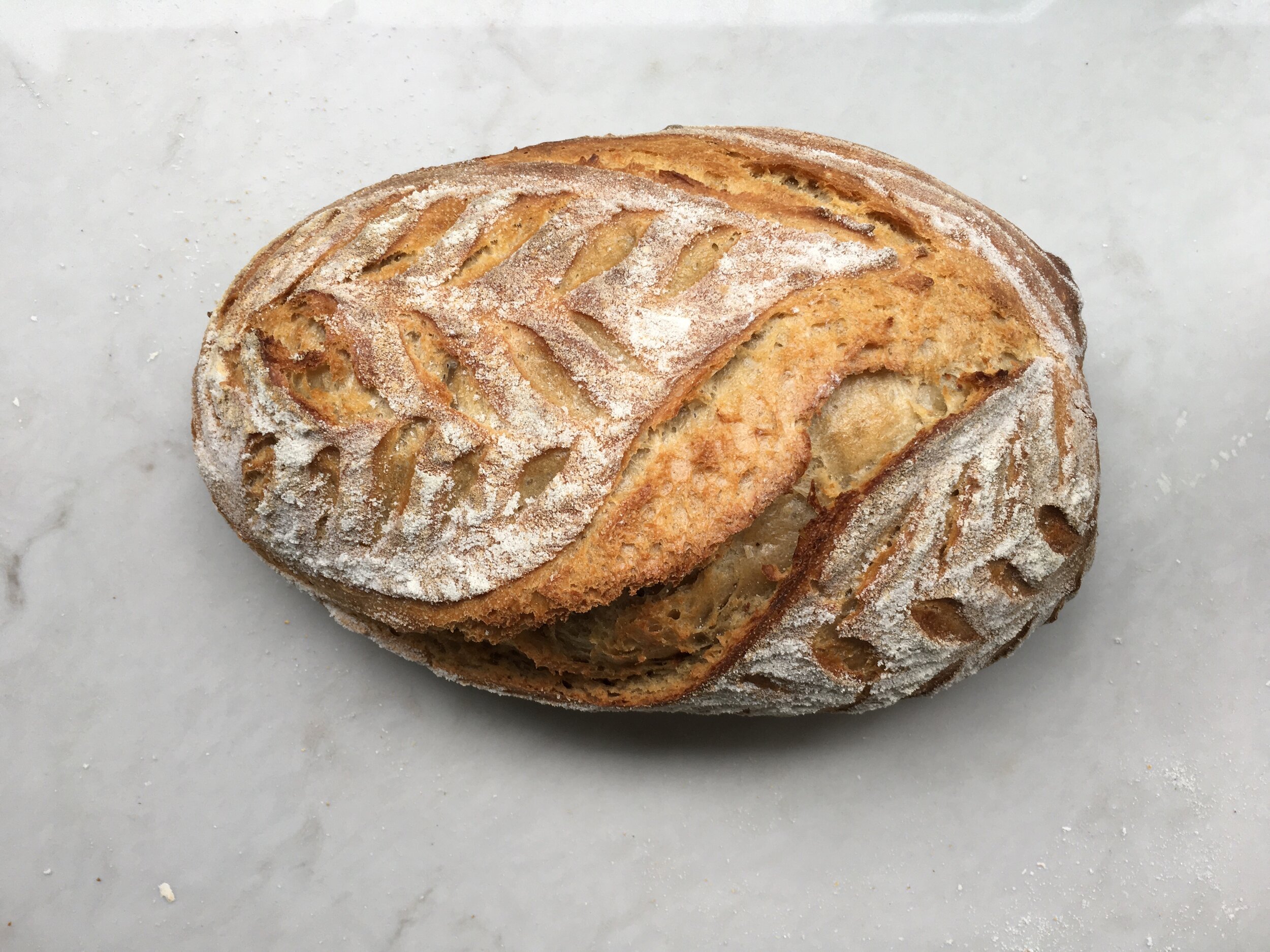 FullSizeRender (003).jpg