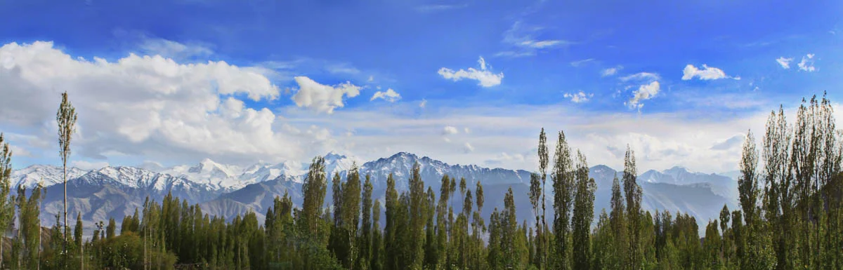 Leh, May 2010