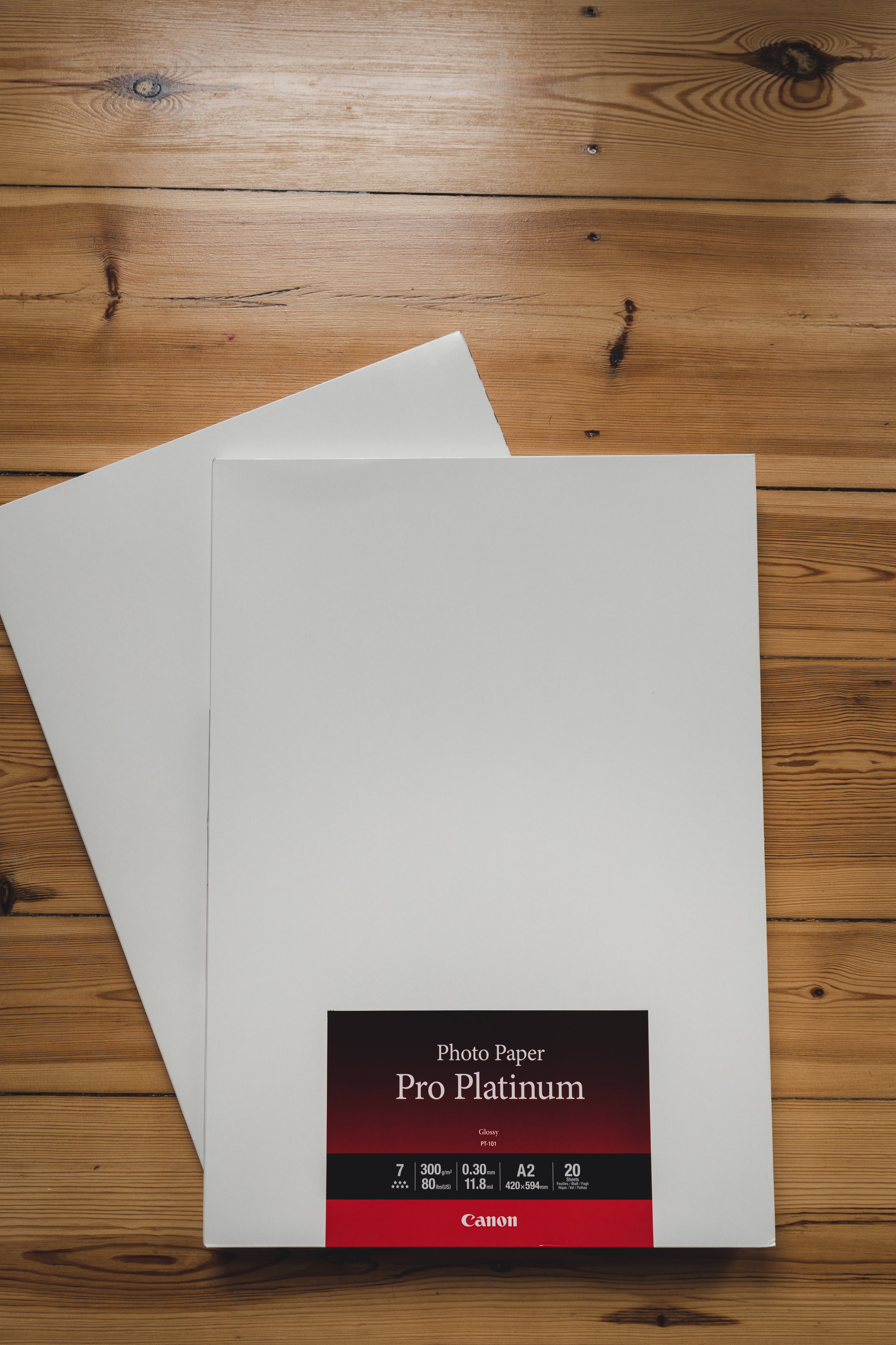 CANON PT-101 papier PHOTO PRO PLATINIUM 300 gr/m² format A6