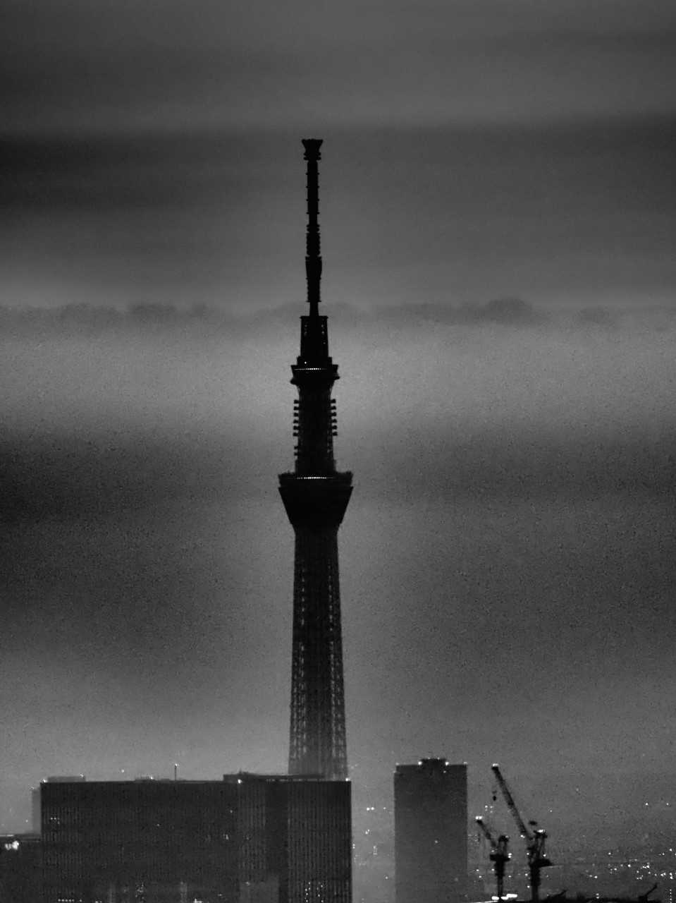 skytree.png