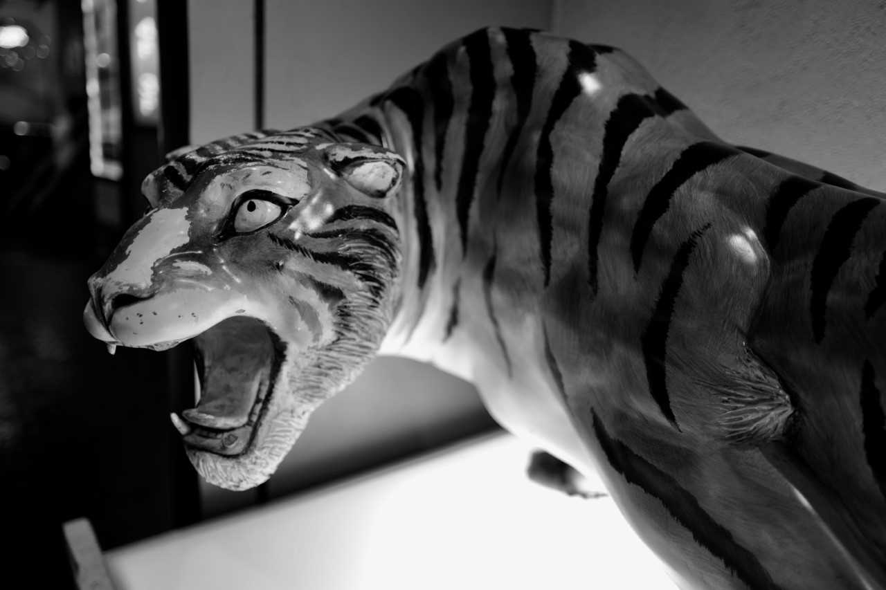 tokyotiger.png
