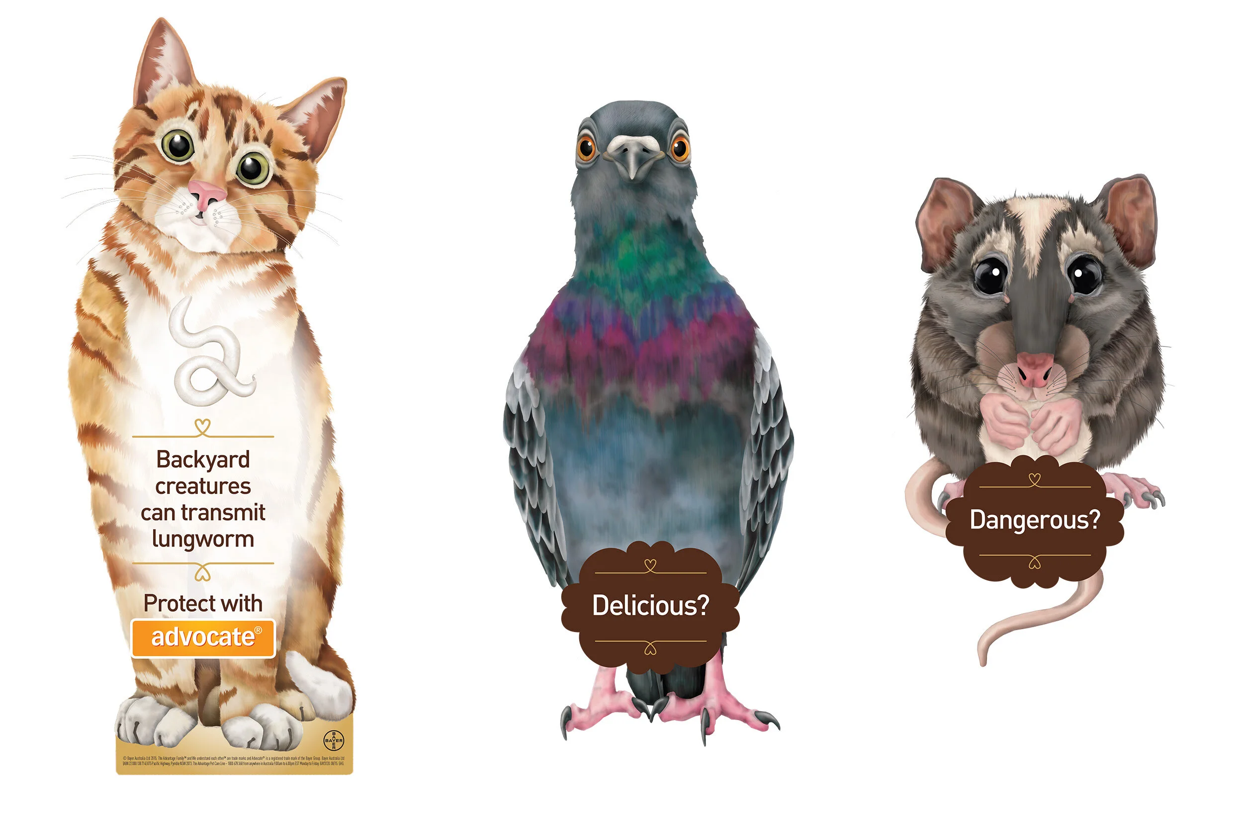 ADVOCATE IN-STORE FLOOR DECALS