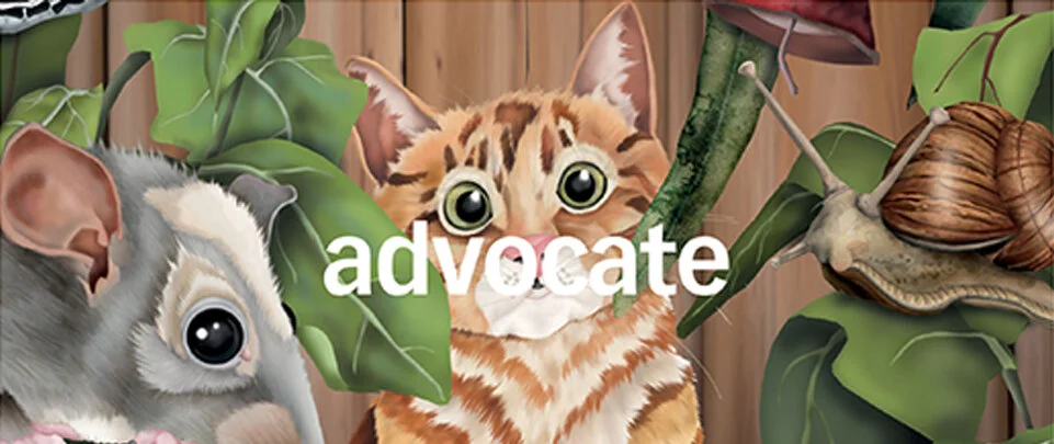 Advocate.jpg