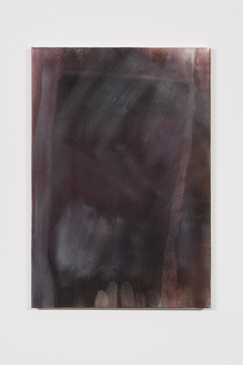 B02 - 0216, 2016, oil on canvas, 61 cm x 42 cm