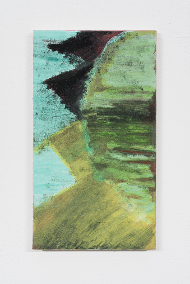 B01 - 1016, 2016, oil on canvas, 53 cm x 30 cm