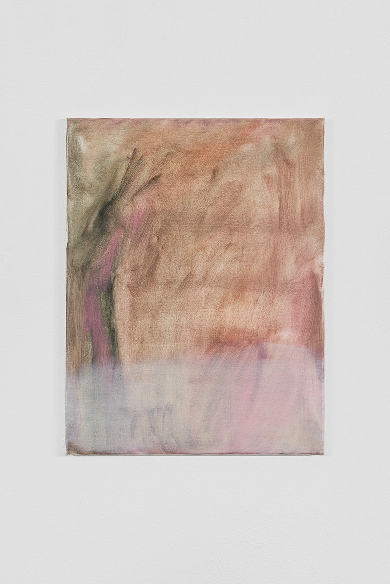 B01 - 0219, 2019, oil on canvas, 65 cm x 50 cm