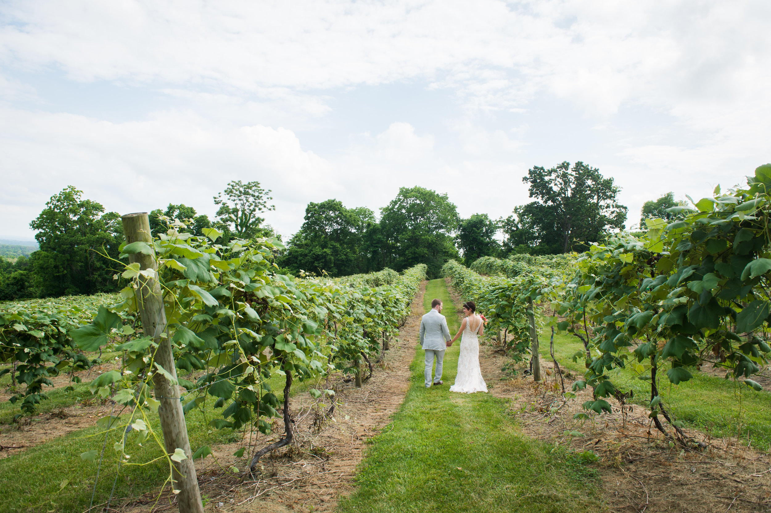 Lock and Co. Traci JD Medlock Washington DC Wedding Portrait Music Photography Videography Lifestyle Photographers Virginia Engagement Session hilarynick-sneakpeek-1.jpg