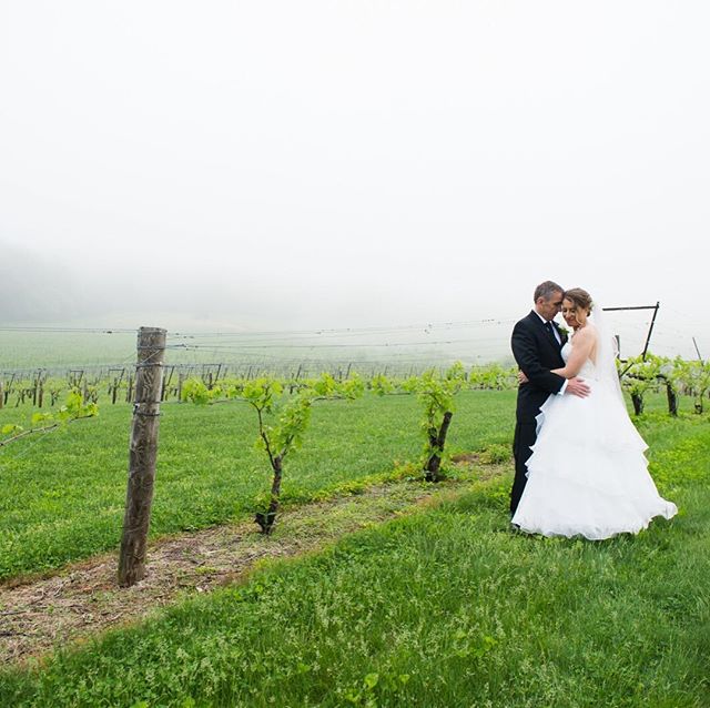 Who doesn't love a winery wedding - and check out that amazing fog!! So in love with Jen and Ken's wedding at Breaux Vineyard! Venue: @Breauxweddings 
#thelockandco #breauxwedding #northernvirginia #loudouncountyphotographer #northernvirginiaphotogra