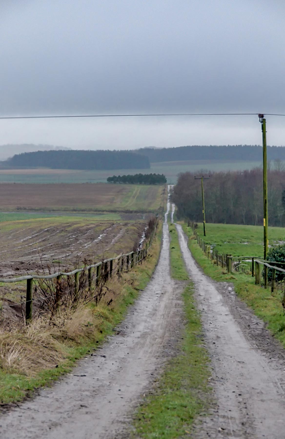 Mackies_farm_road_copyright_broad_daylight.jpg