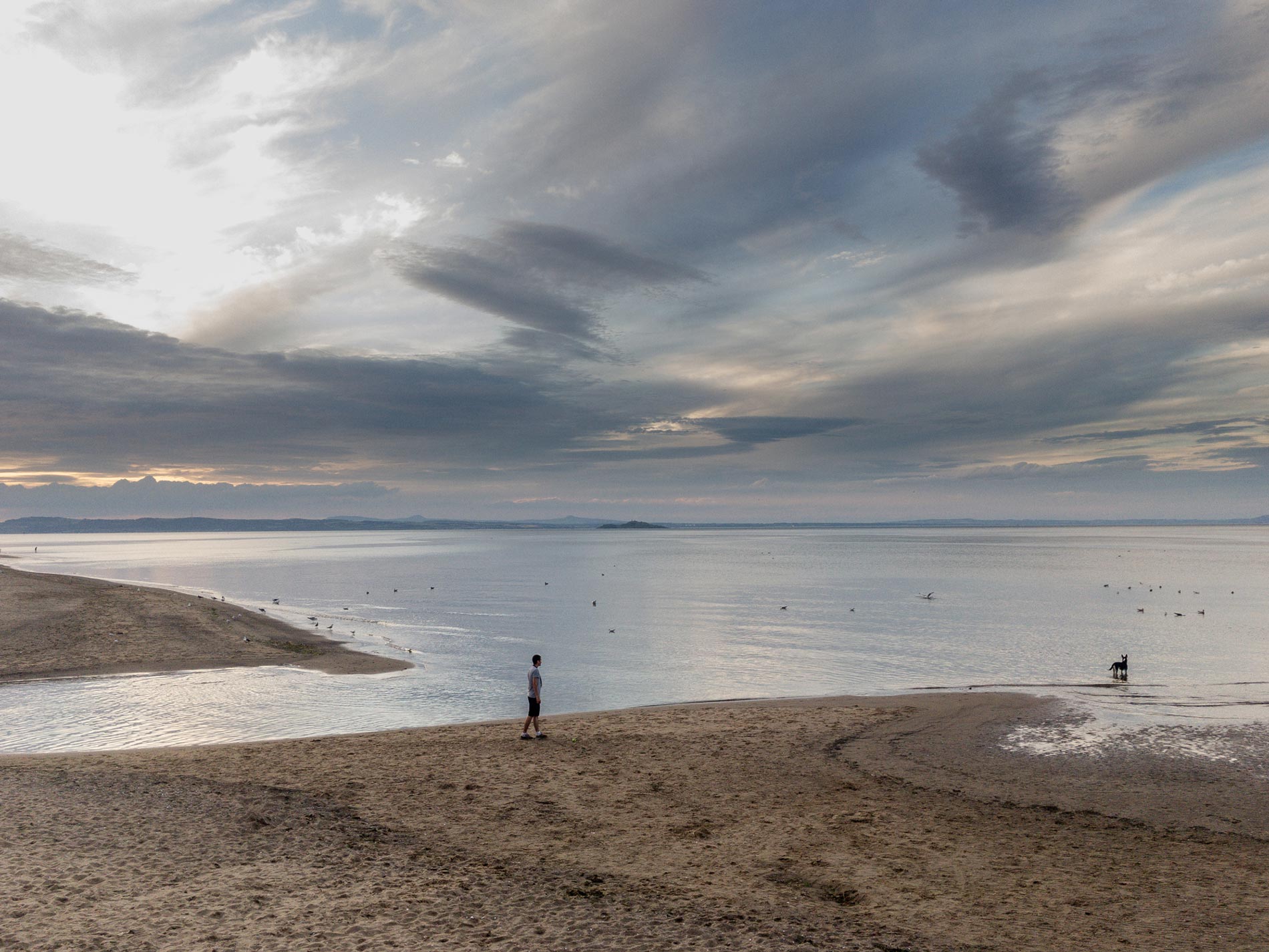 Man and dog - Musselburgh