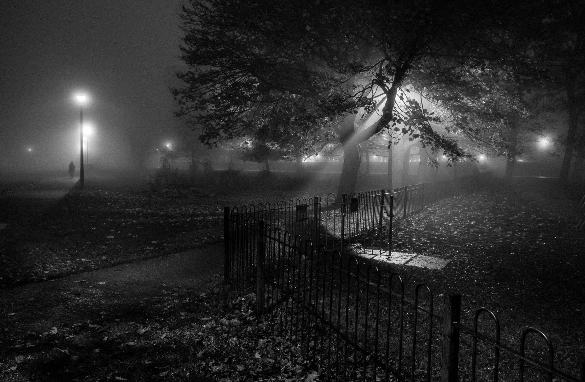 REBUS-SQUARSPACE ABOUT PAGE SLIDESHOW FOGGY MEADOWS.jpg