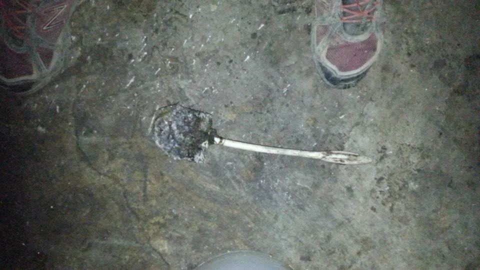 drain cleaning1.jpg