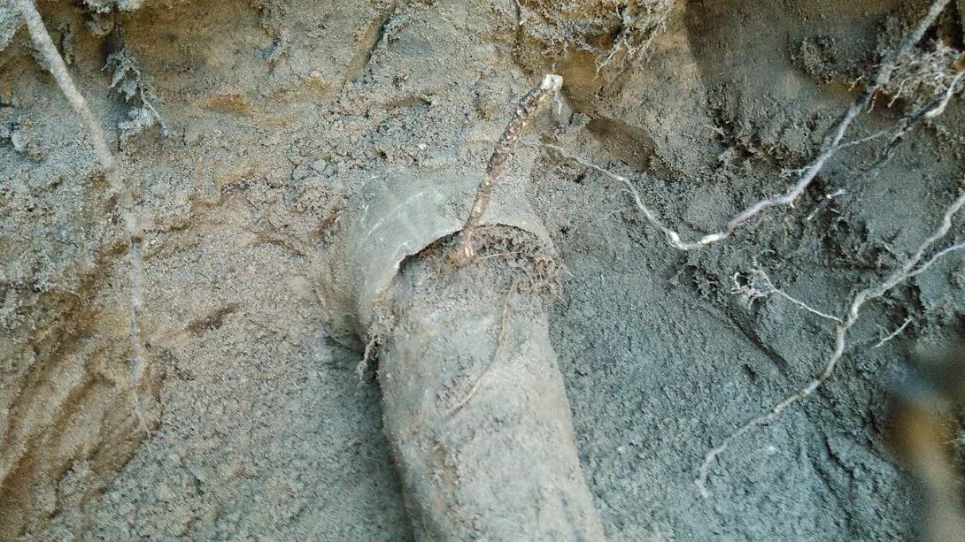 drain cleaning7.jpg