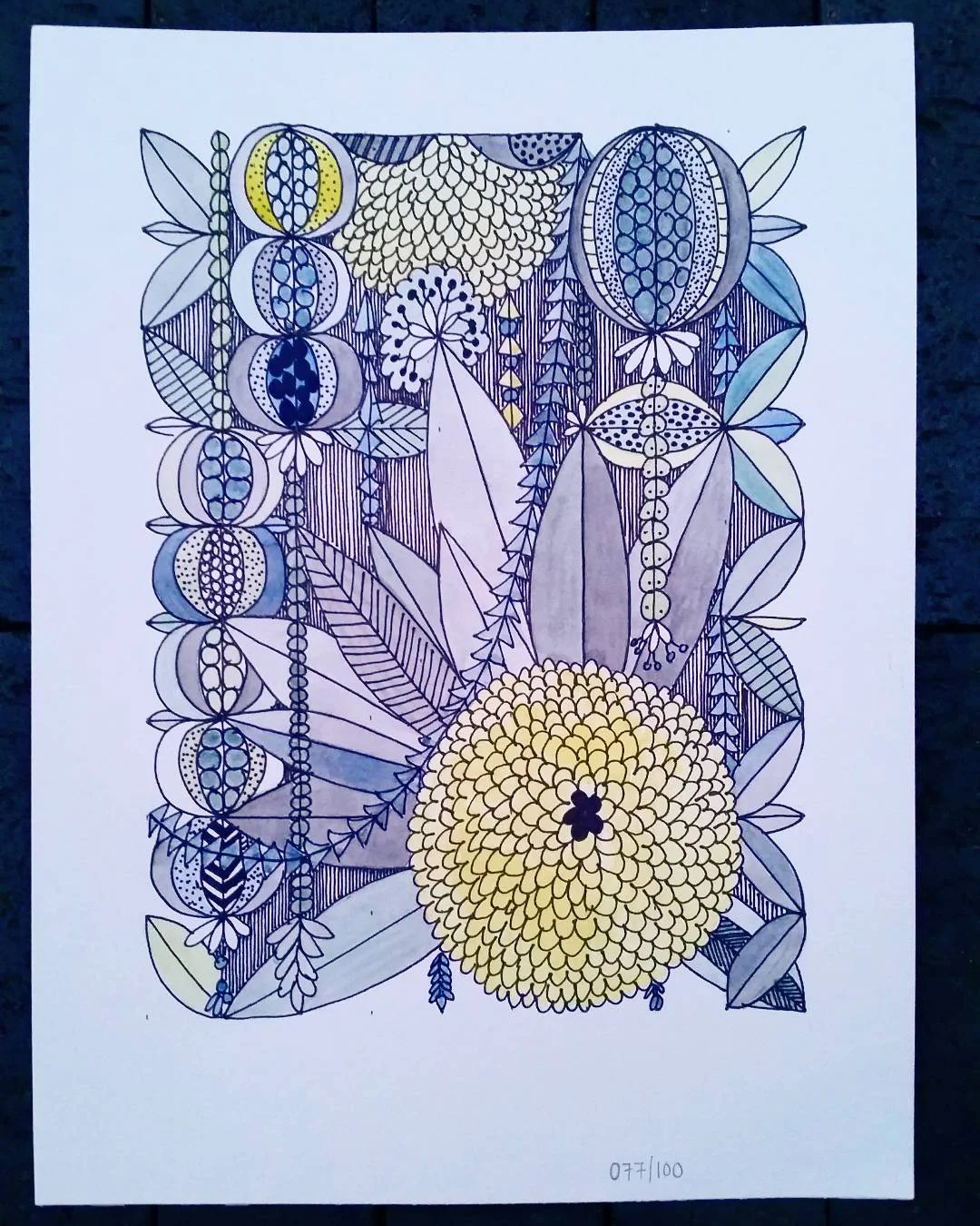 077/100