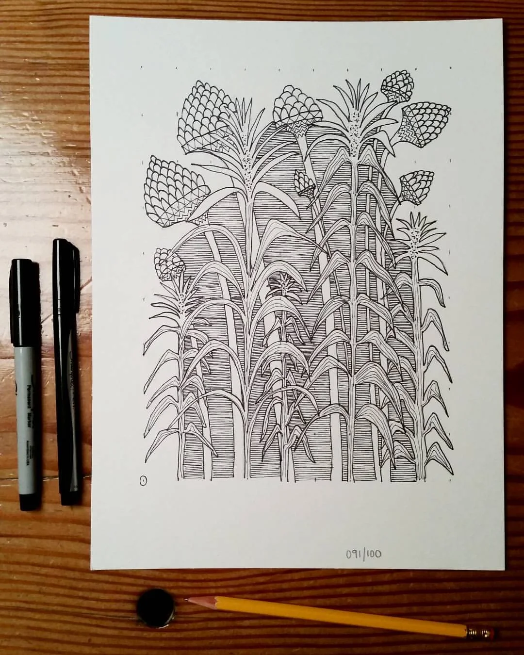091/100