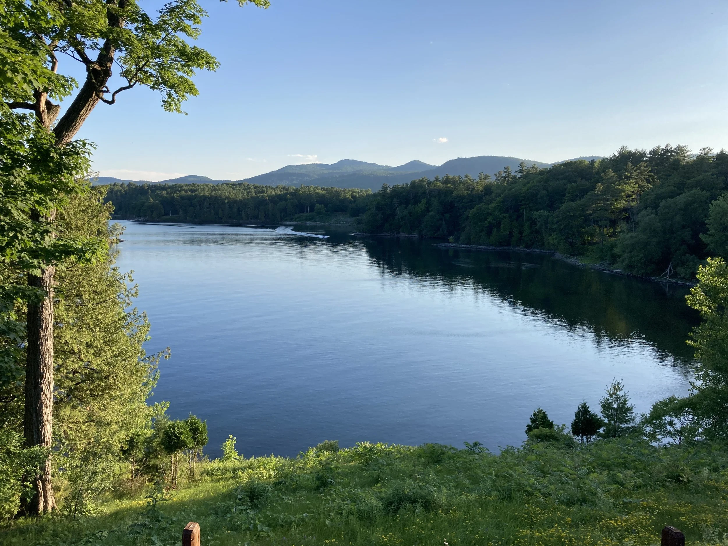 A Simple Strategy for Boosting Happiness and Health: Spend Time in Nature