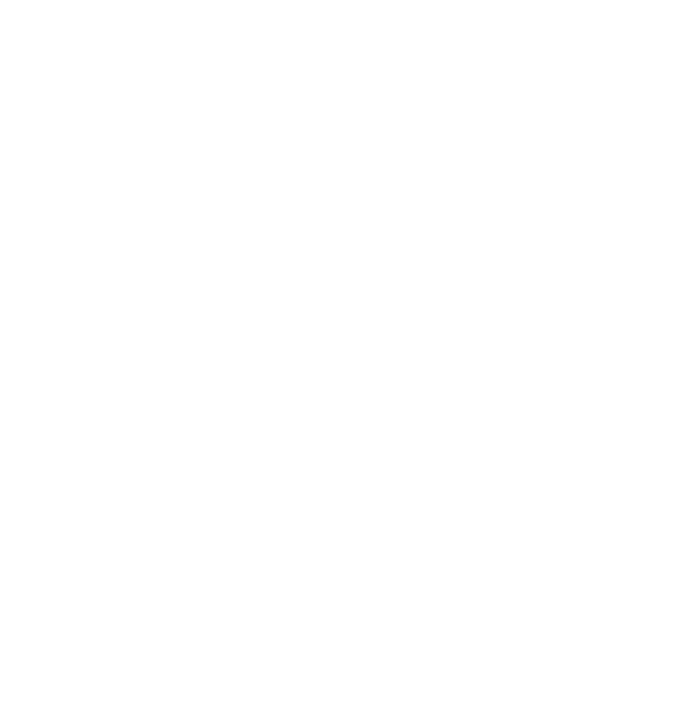 White Sunburst Icon