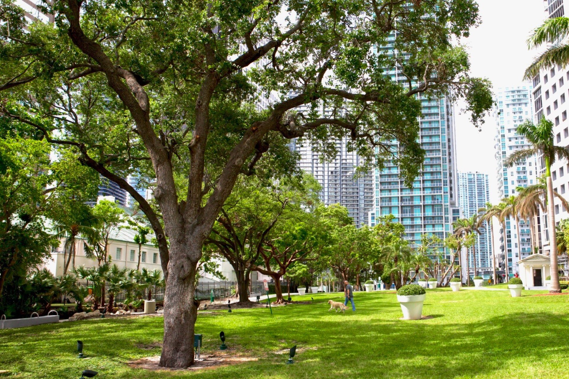 pet-area-brickell-park_lipstickandchicspaces.com.jpg