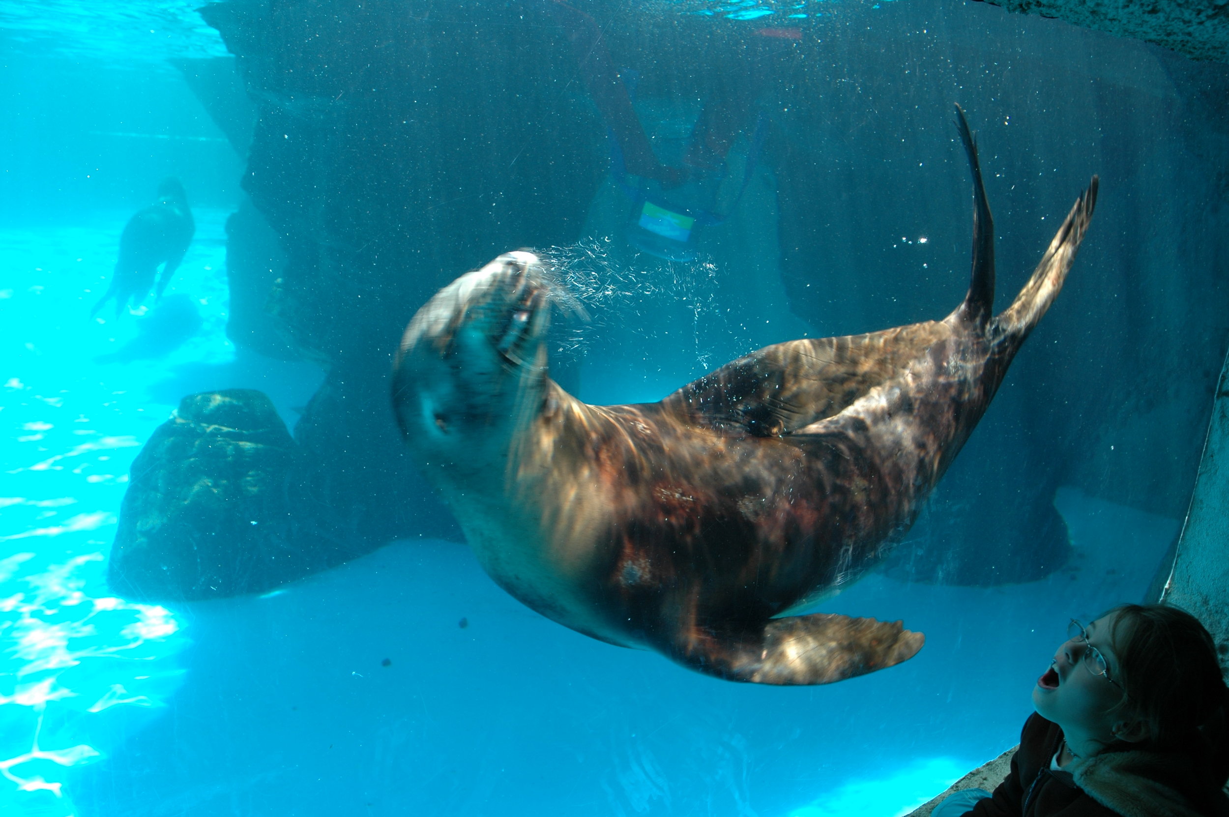 Long Island Aquarium
