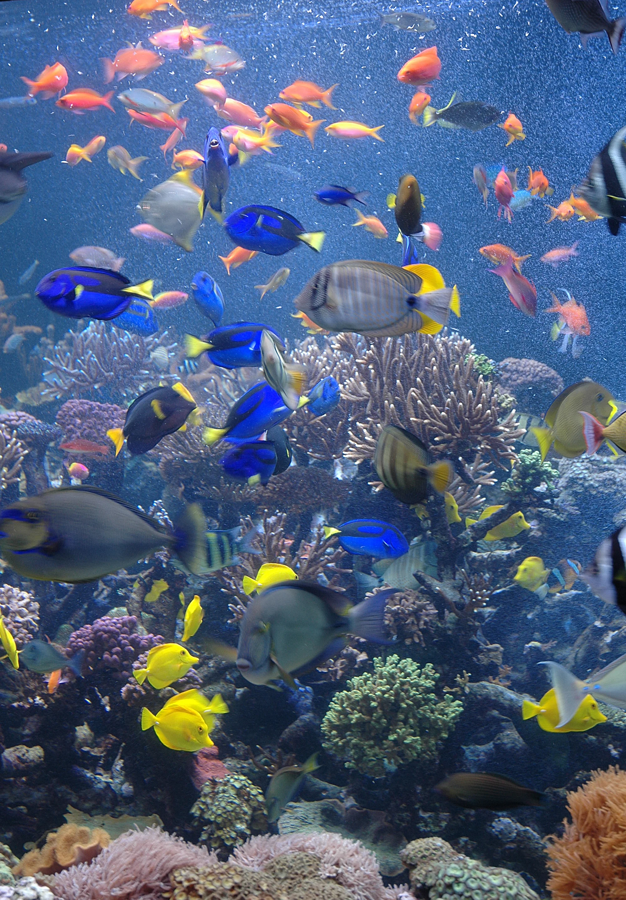 Long Island Aquarium