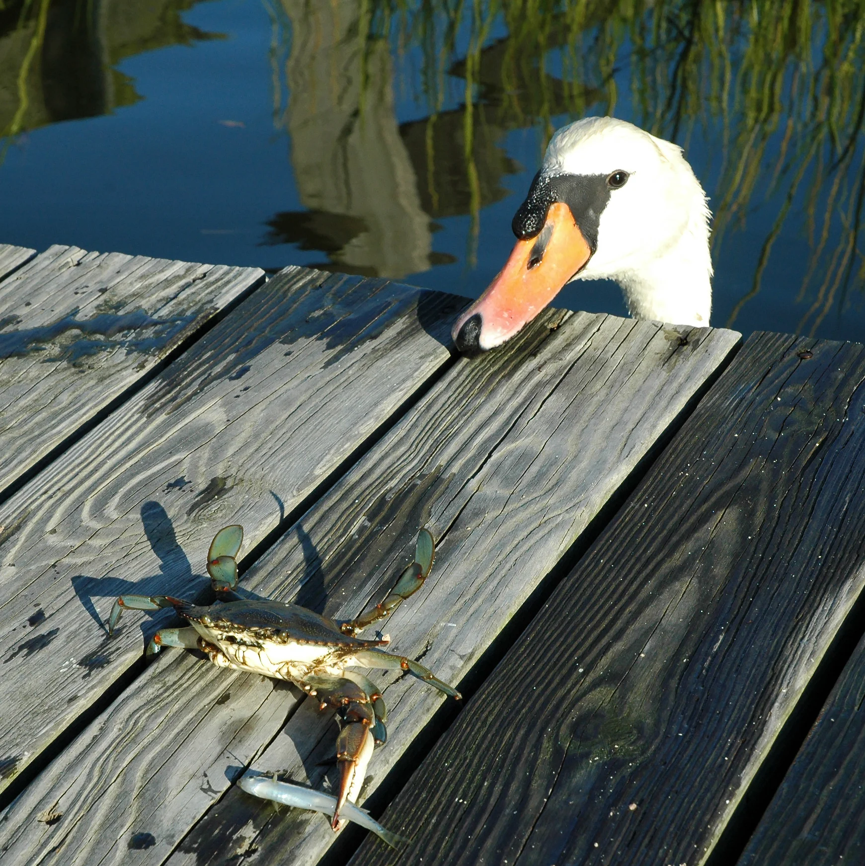 DSC_0022 47.JPG
