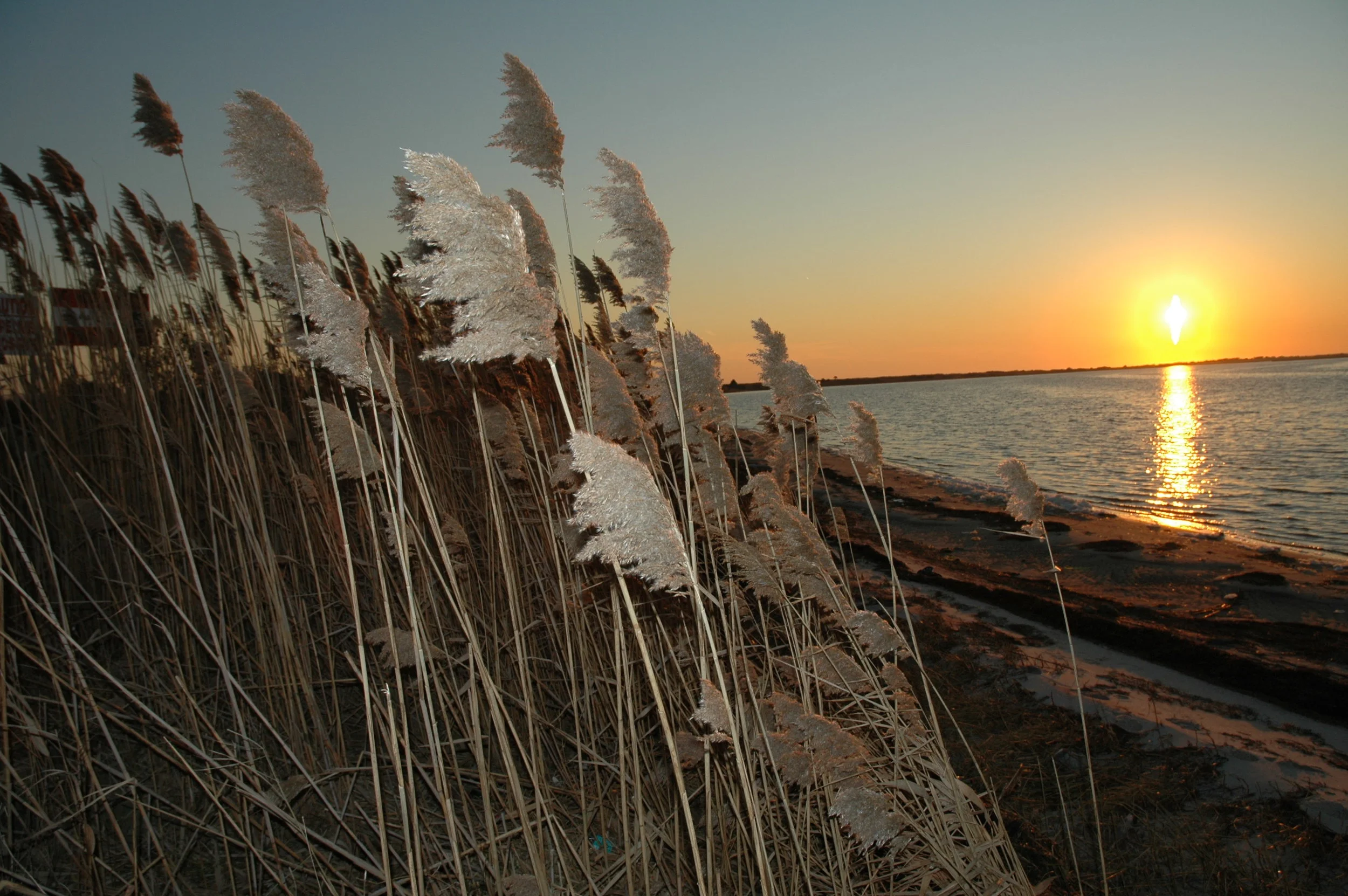 DSC_0030 14.JPG