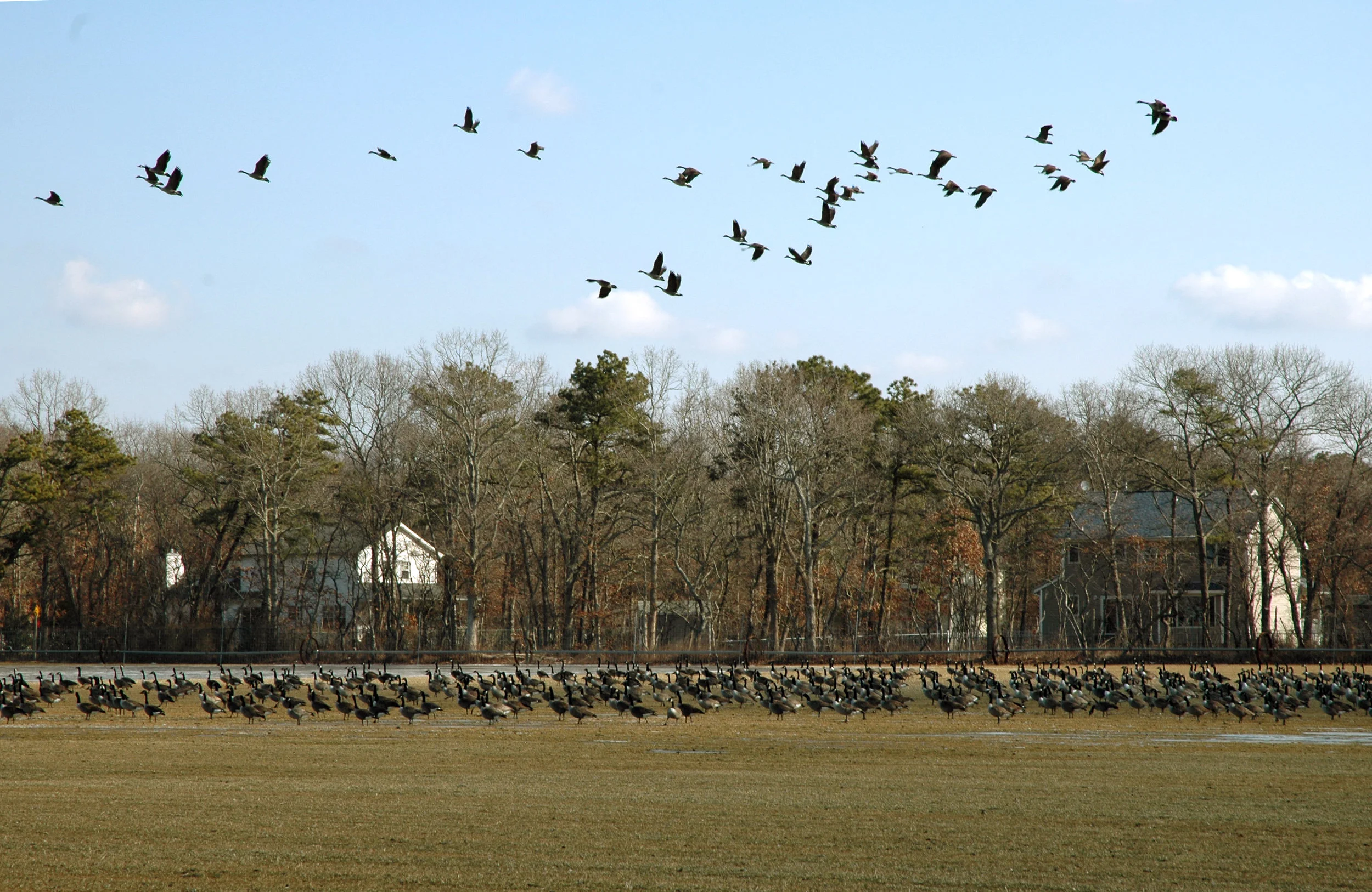 DSC_0140 11.JPG