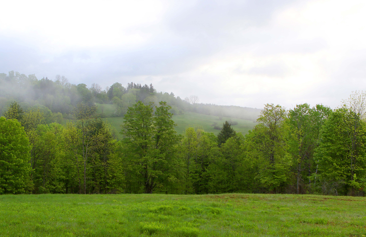 Glenn-Suokko-A-New-Pastoral-8-4.jpg