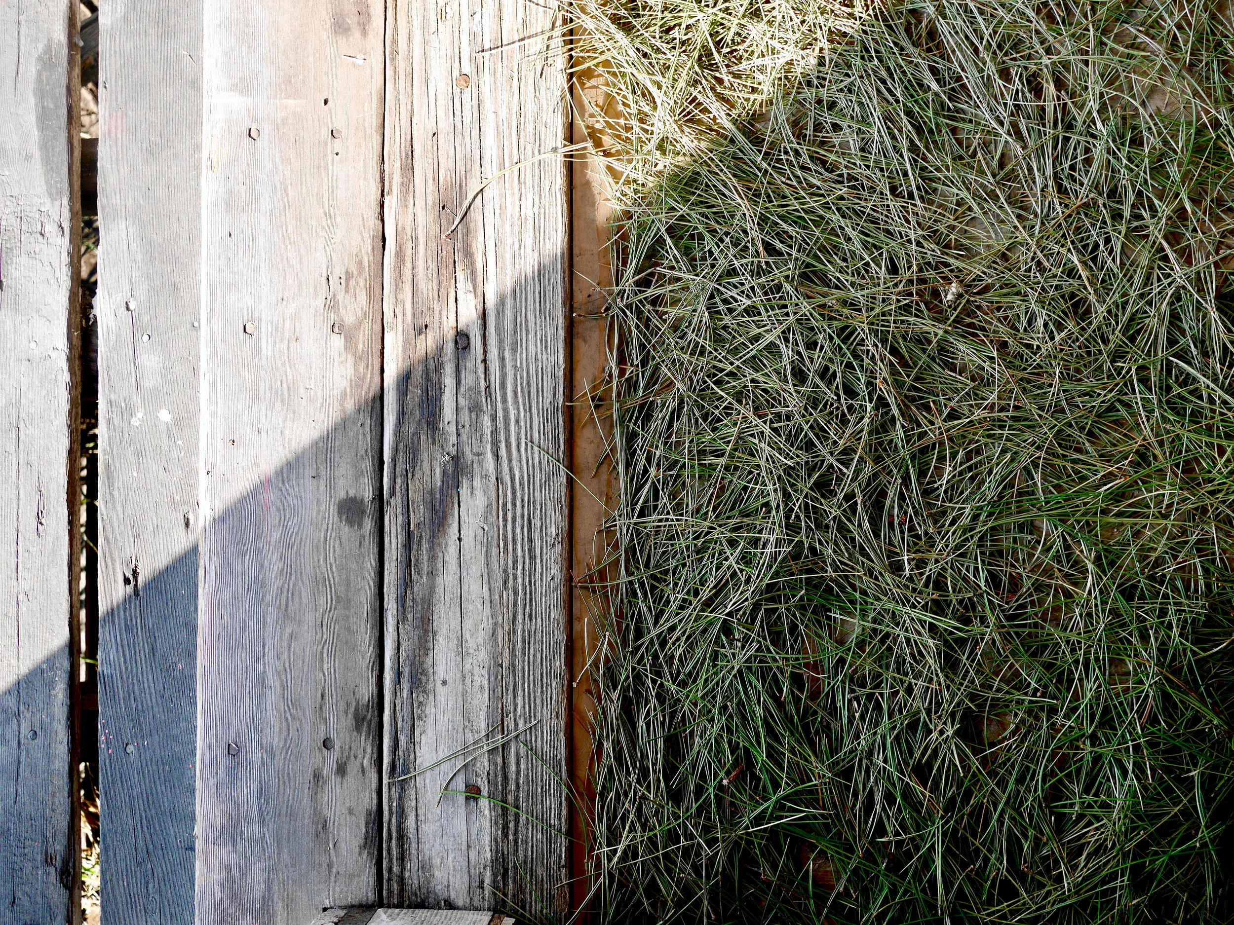 Pine Hut Installation