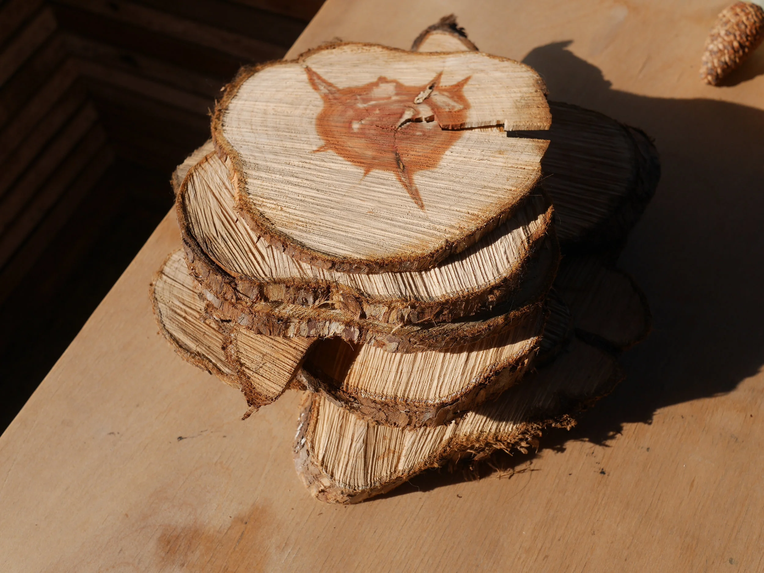 Pine Hut Installation