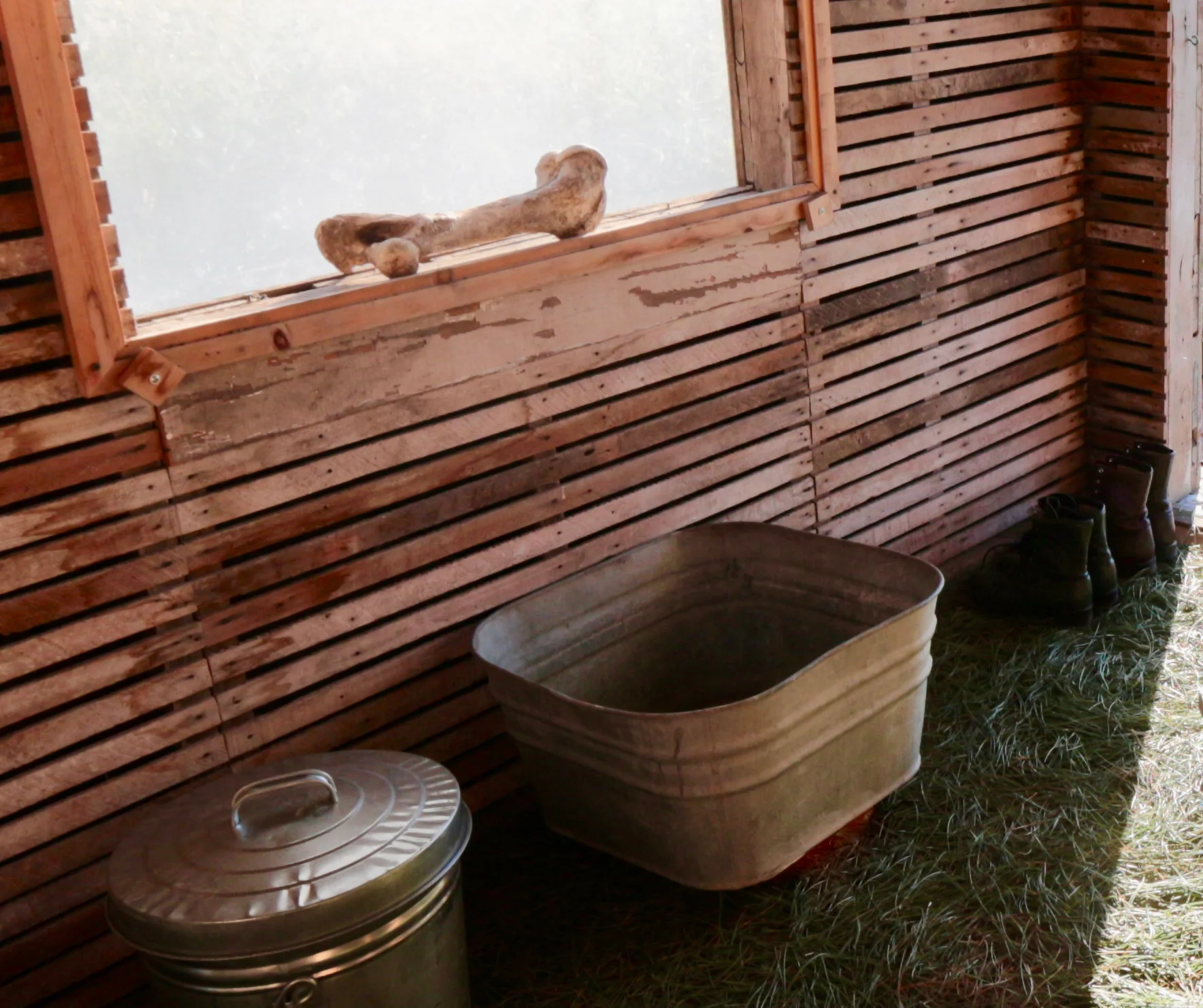 Pine Hut Installation