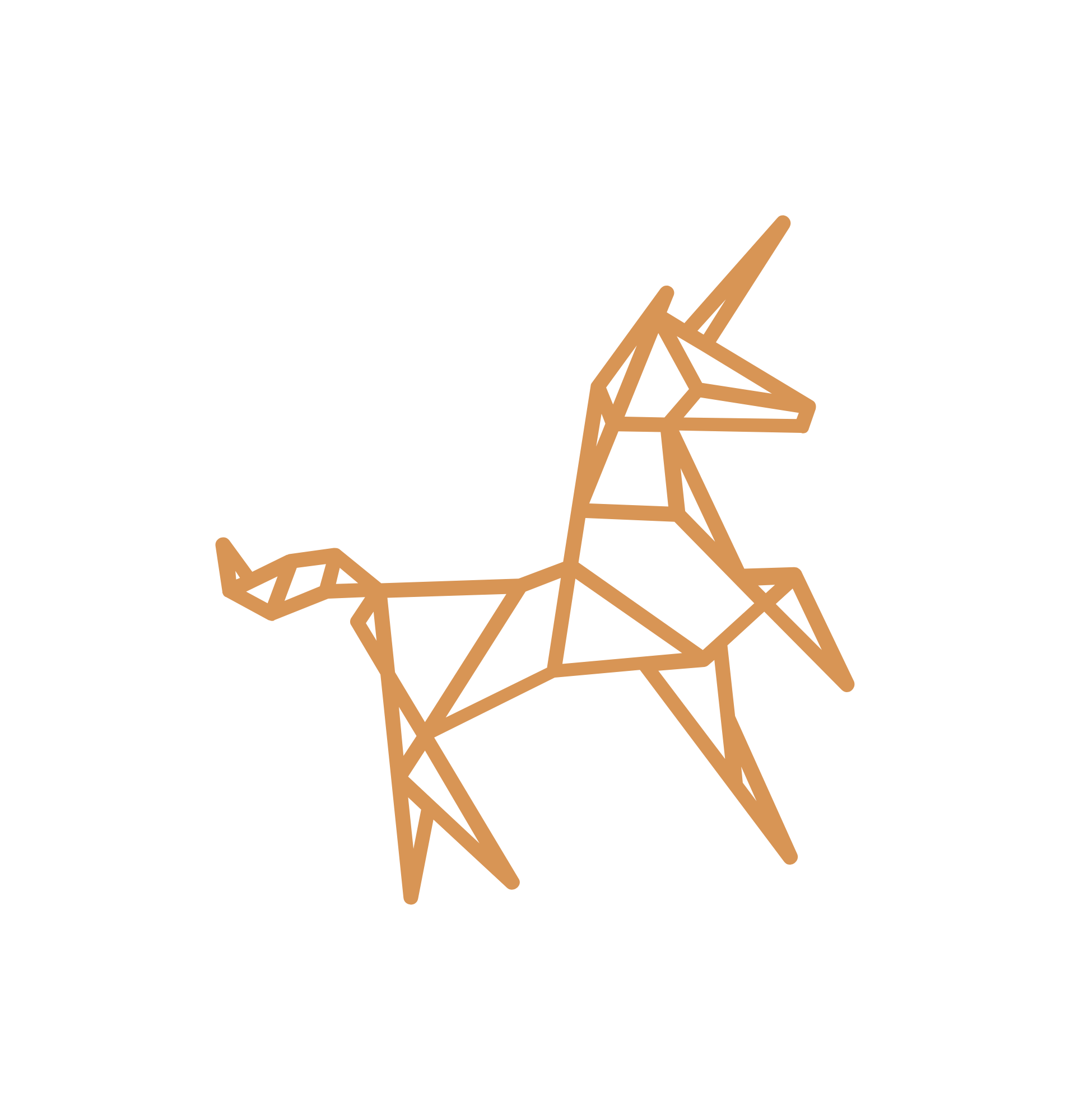 logo.png