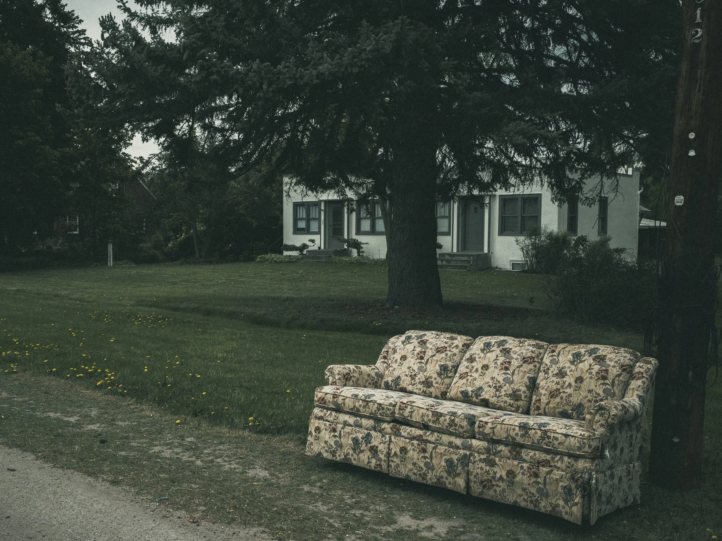 scarfone-floral-couch-on-third.jpg