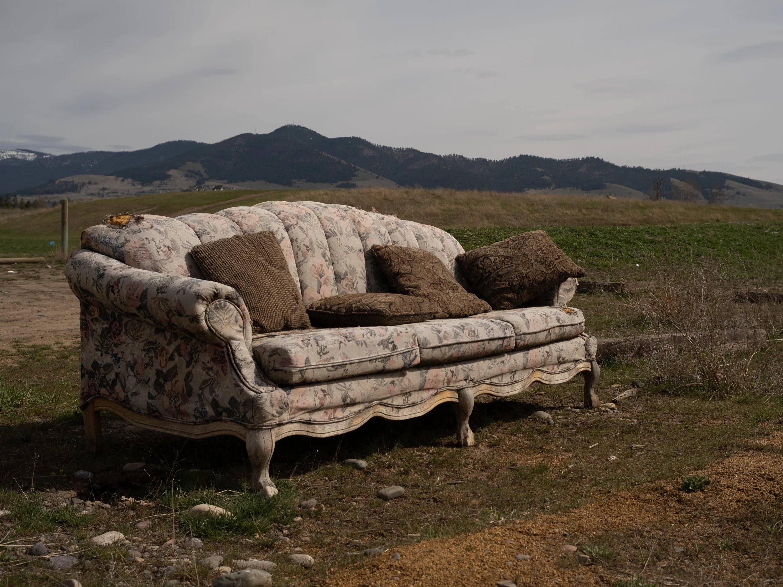 scarfone-horse-park-sofa.jpg