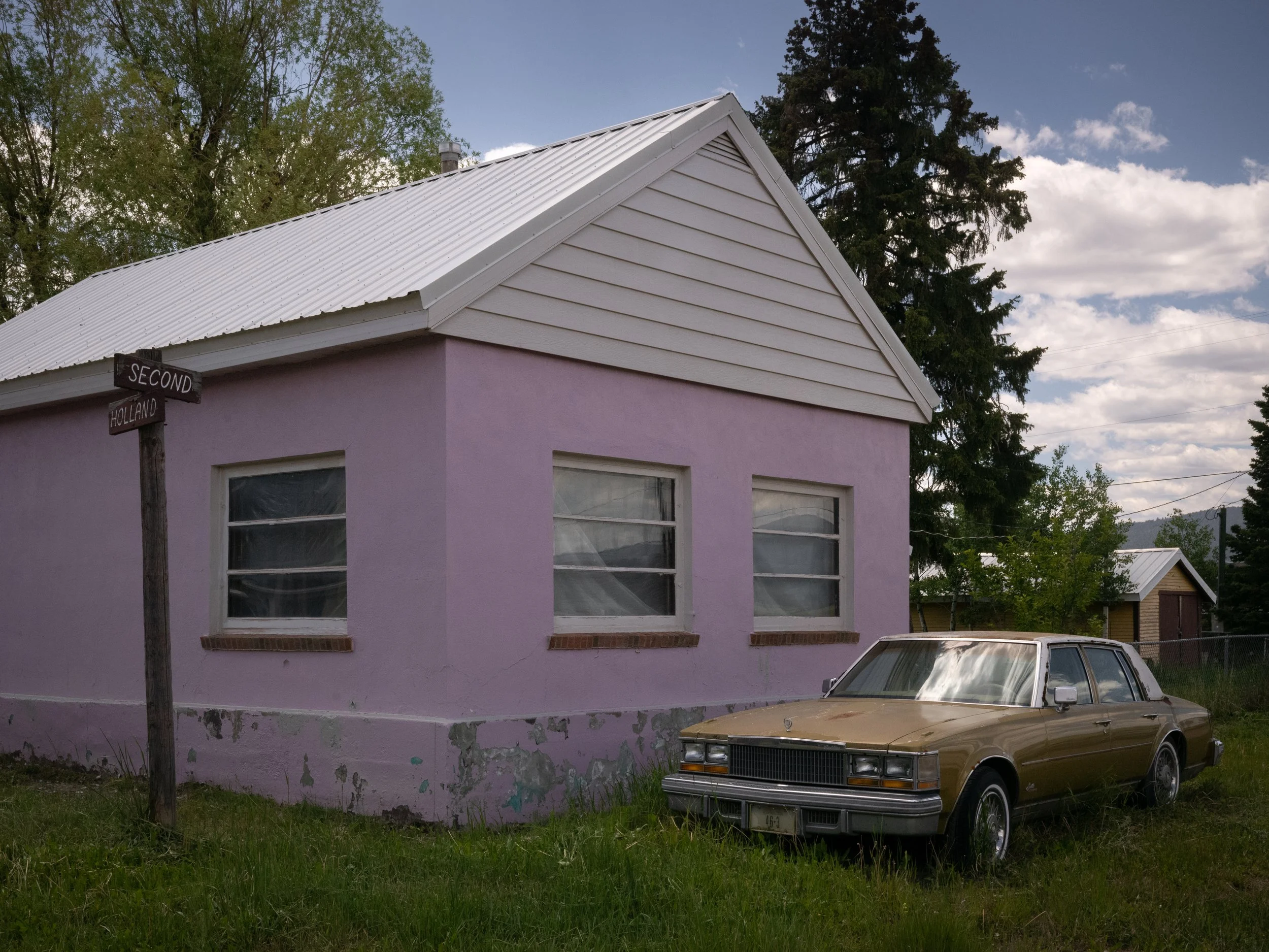 scarfone-pink-and-cadillac.jpg