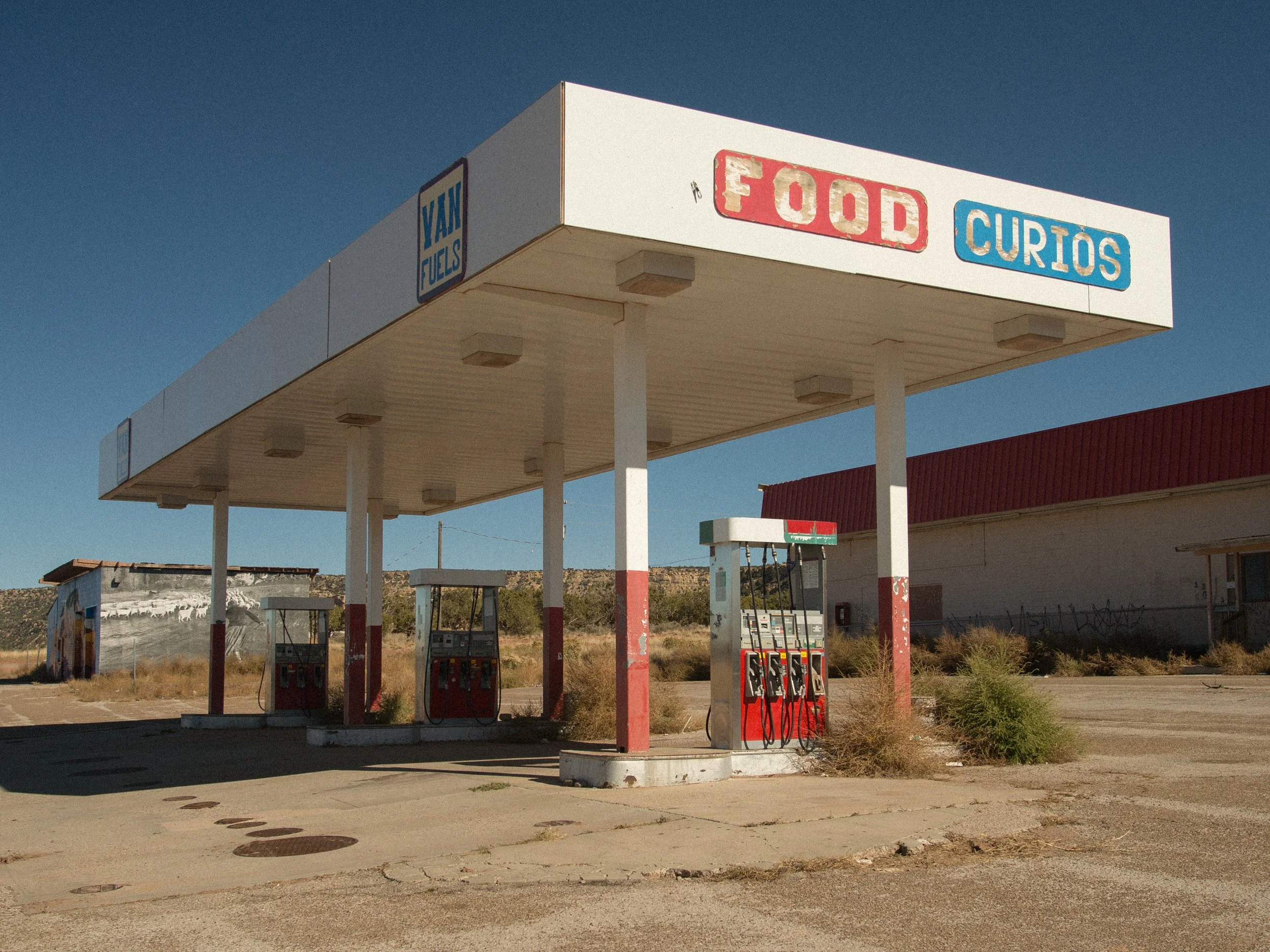 scarfone-food-curios.jpg
