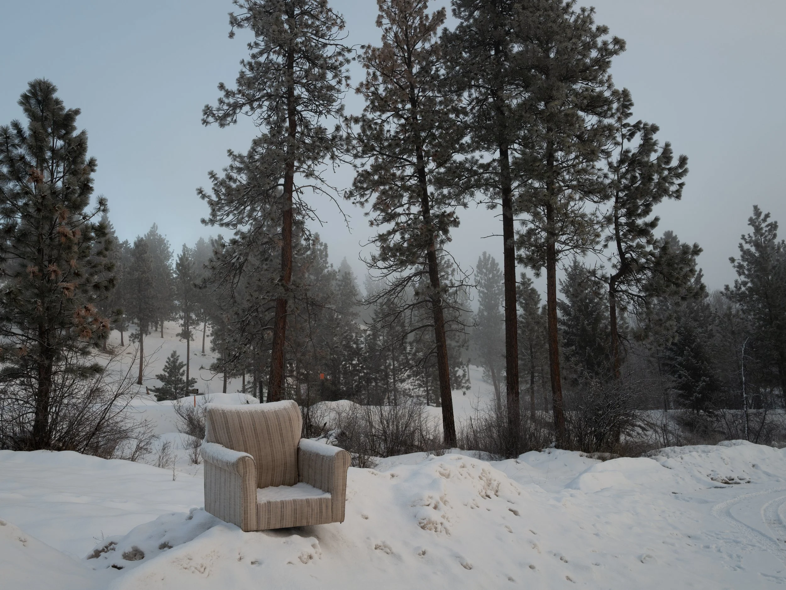 scarfone-9mile-chair.jpg