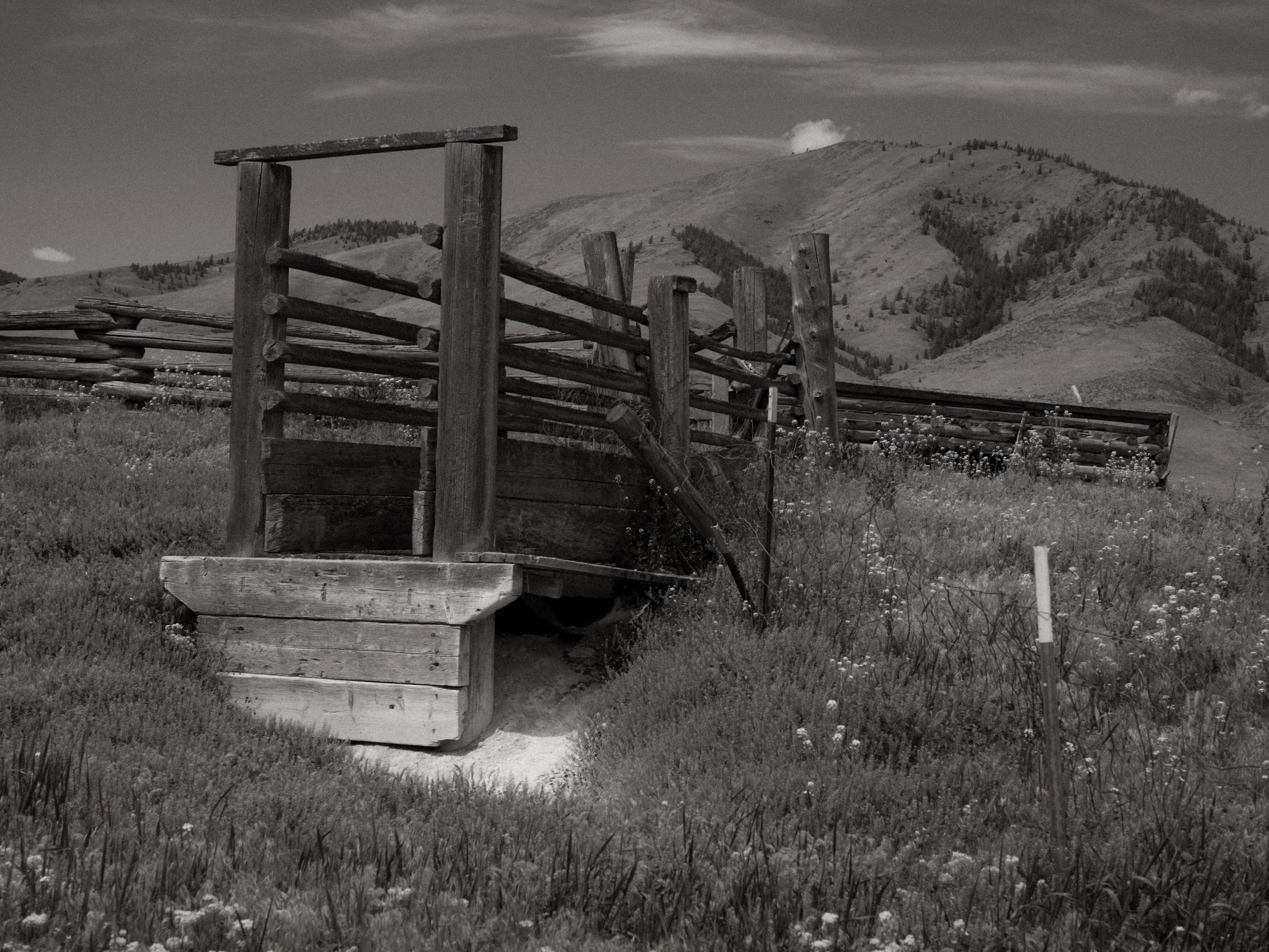 scarfone-livestock-ramp.jpg