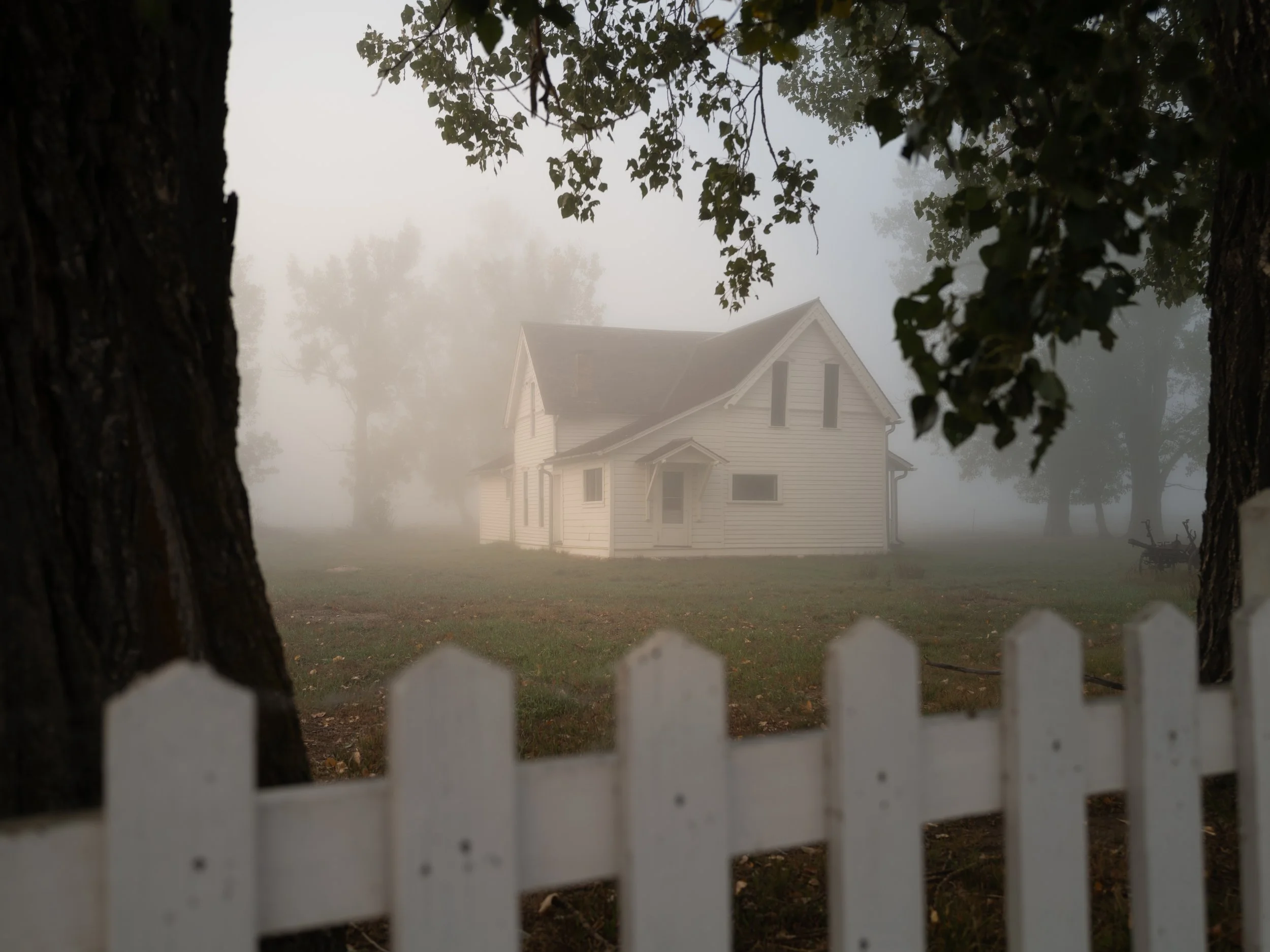 scarfone-house-fog.jpg