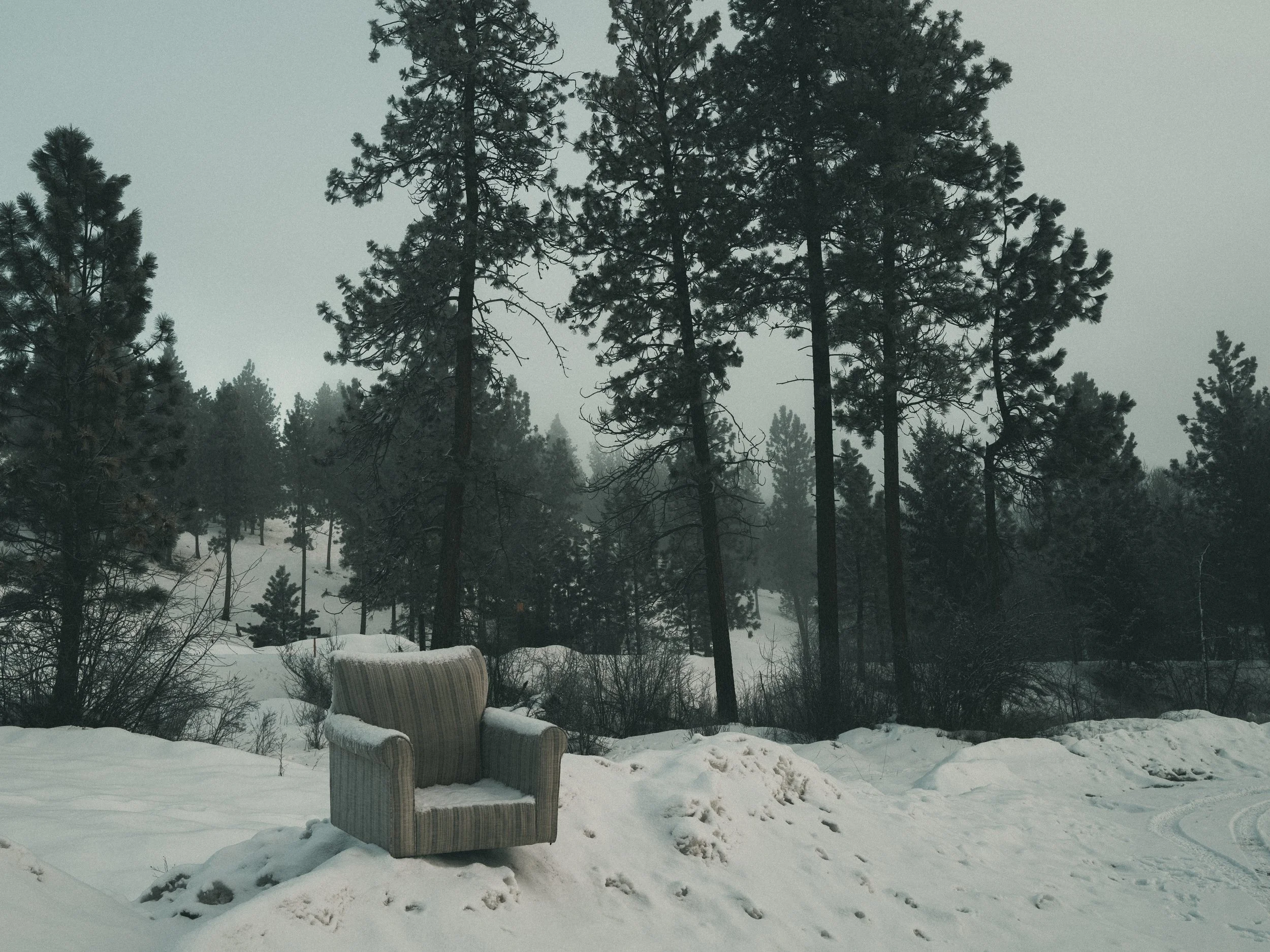 scarfone-9mile-chair.jpg