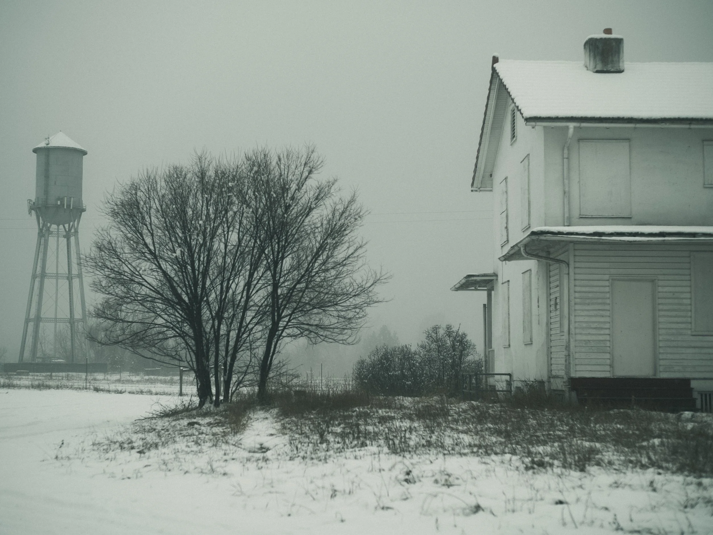scarfone-whiteout.jpg