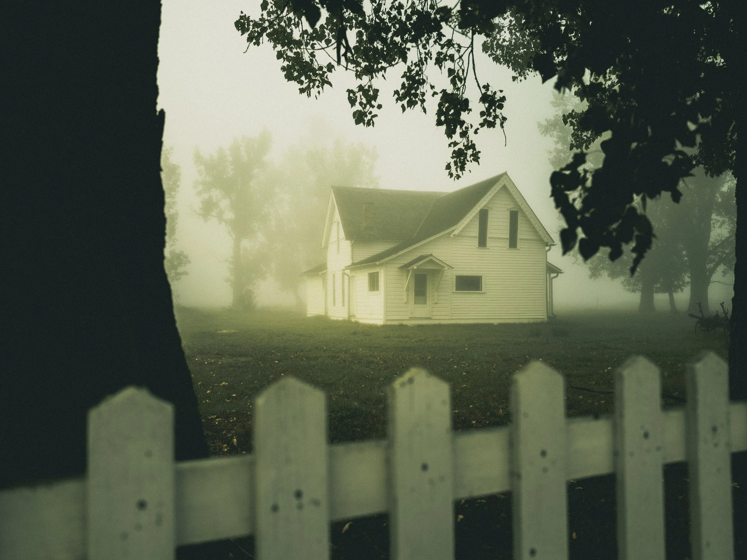 scarfone-house-fog.jpg