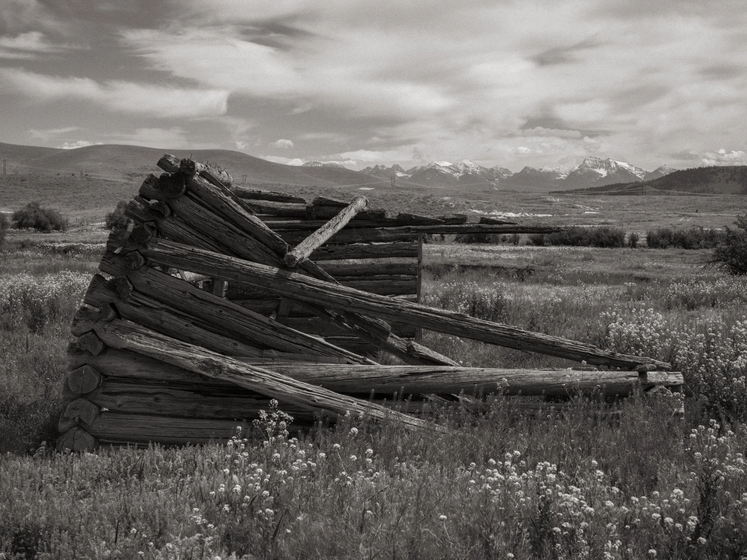 scarfone-prairie-cabin-remnant.jpg