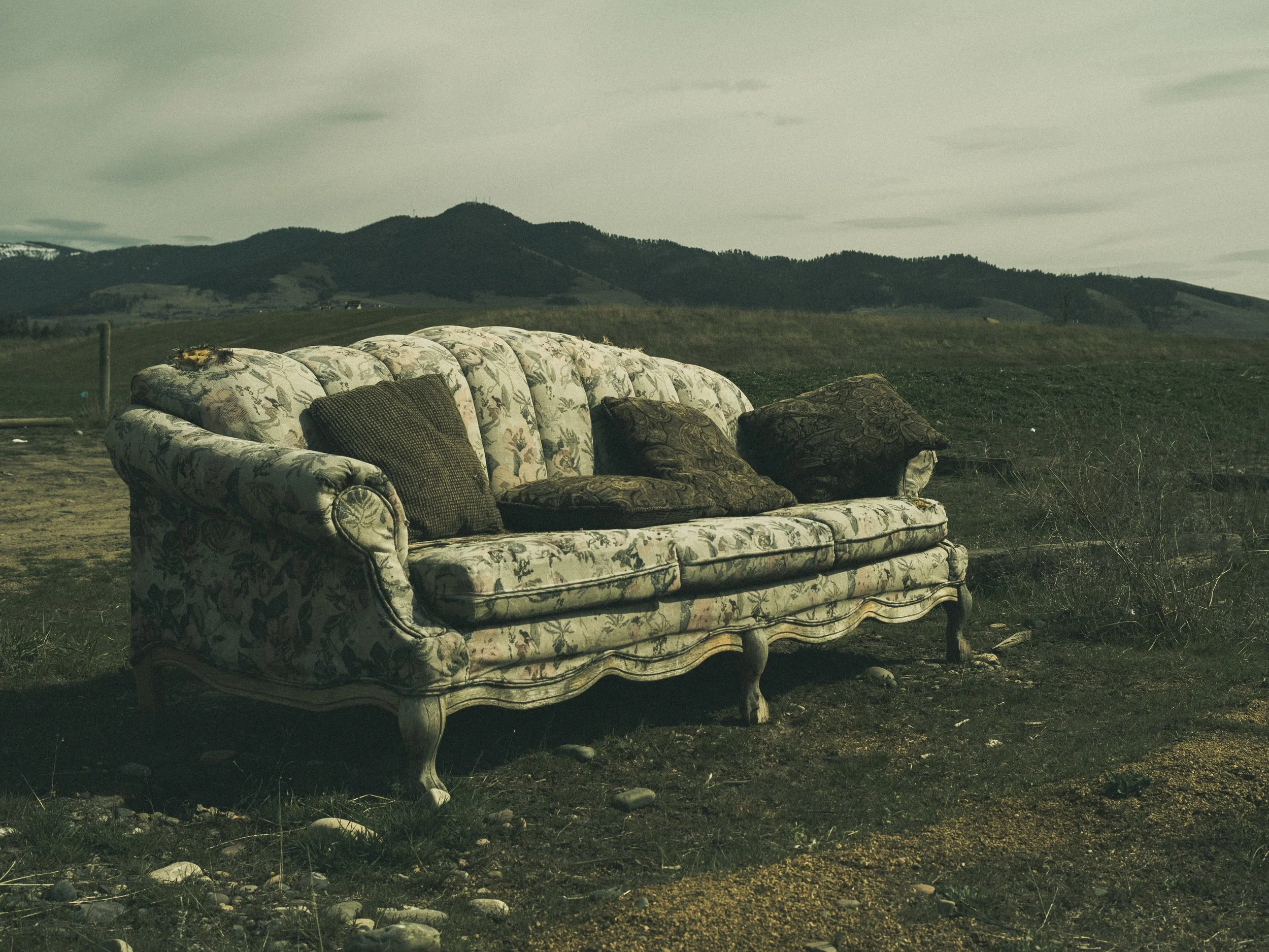 scarfone-horse-park-sofa.jpg