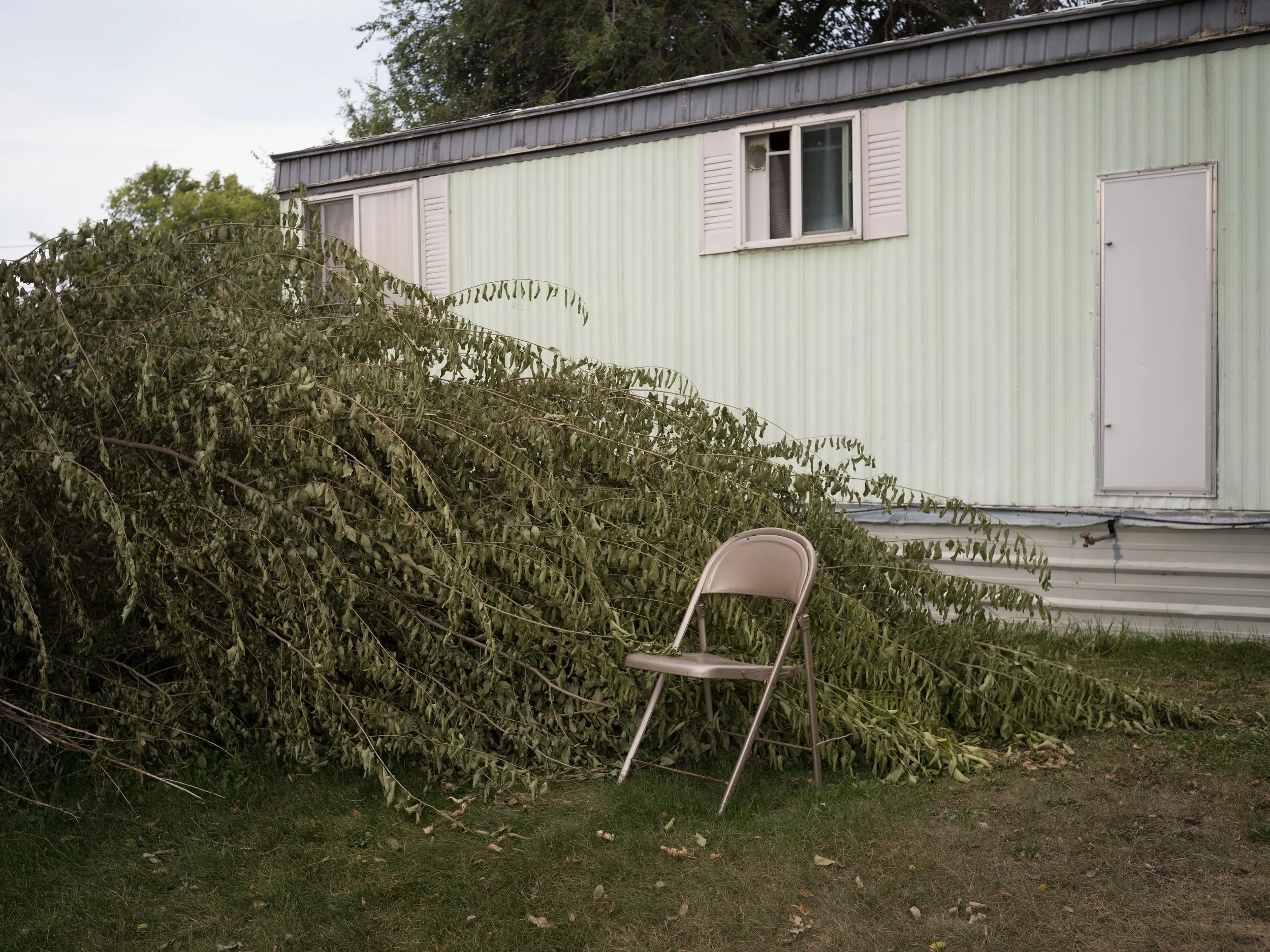 Felled Tree with Folding Chair